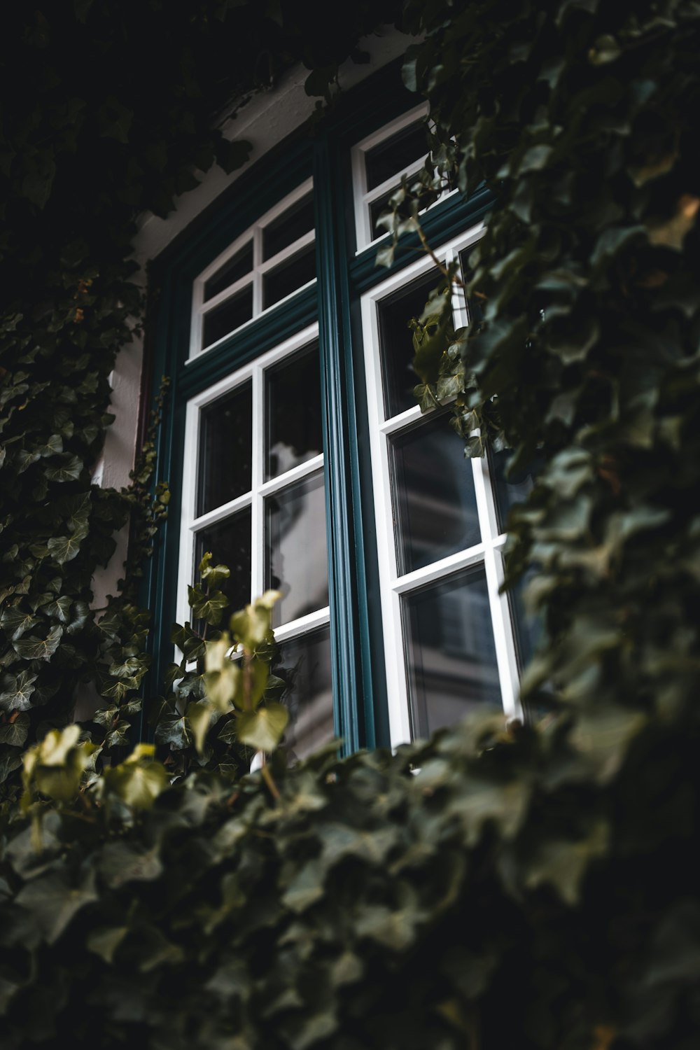 white wooden framed glass window