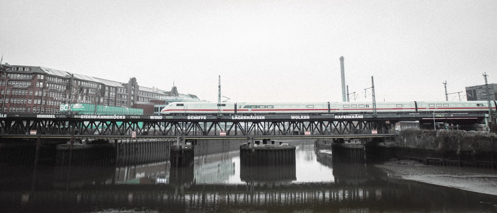 gray and white bridge over river