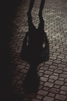 A shadow of a person cast on a cobblestone path, illuminated by a dim light creating a mysterious and slightly eerie atmosphere.