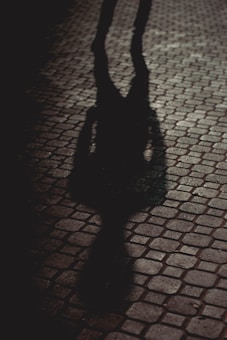 A shadow of a person cast on a cobblestone path, illuminated by a dim light creating a mysterious and slightly eerie atmosphere.