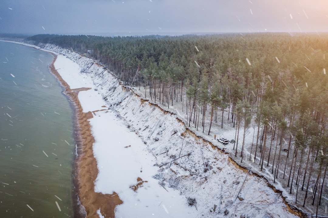 green trees on white snow covered ground during daytime