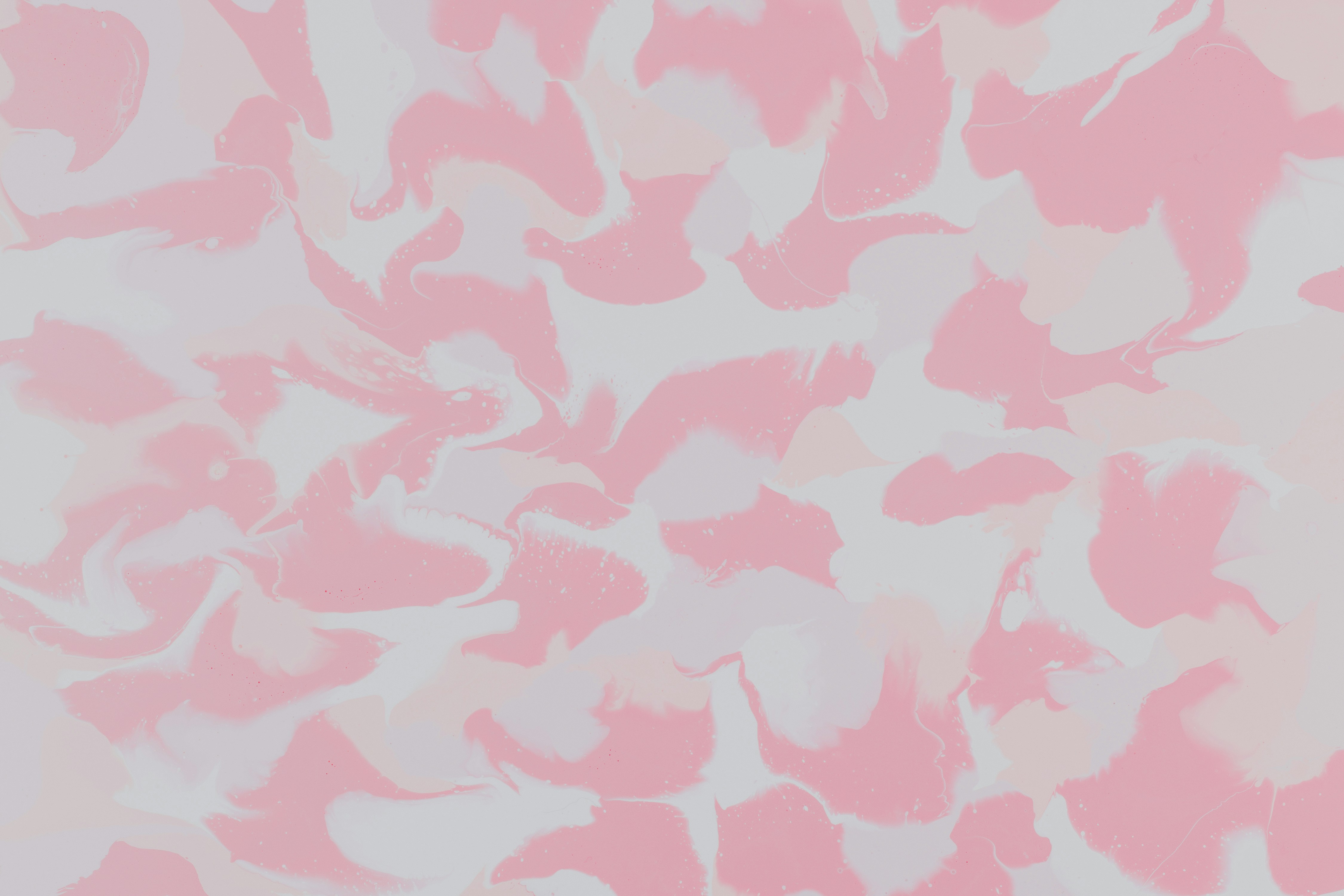 Photo by pawel_czerwinski