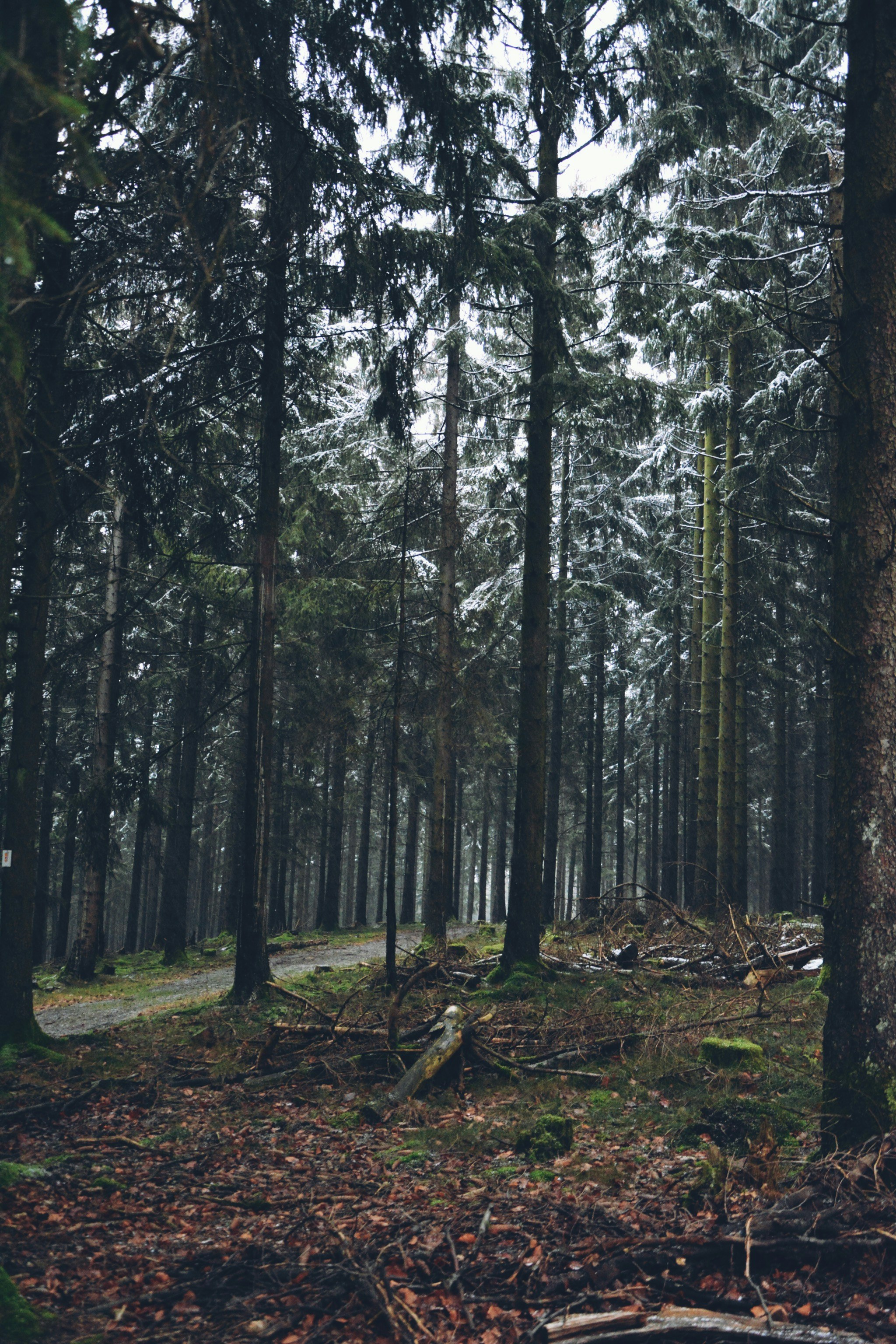 Photo by michael_ender