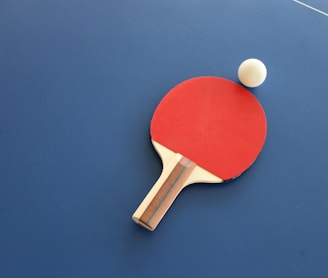 red and brown wooden table tennis racket