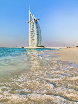 people on beach during daytime