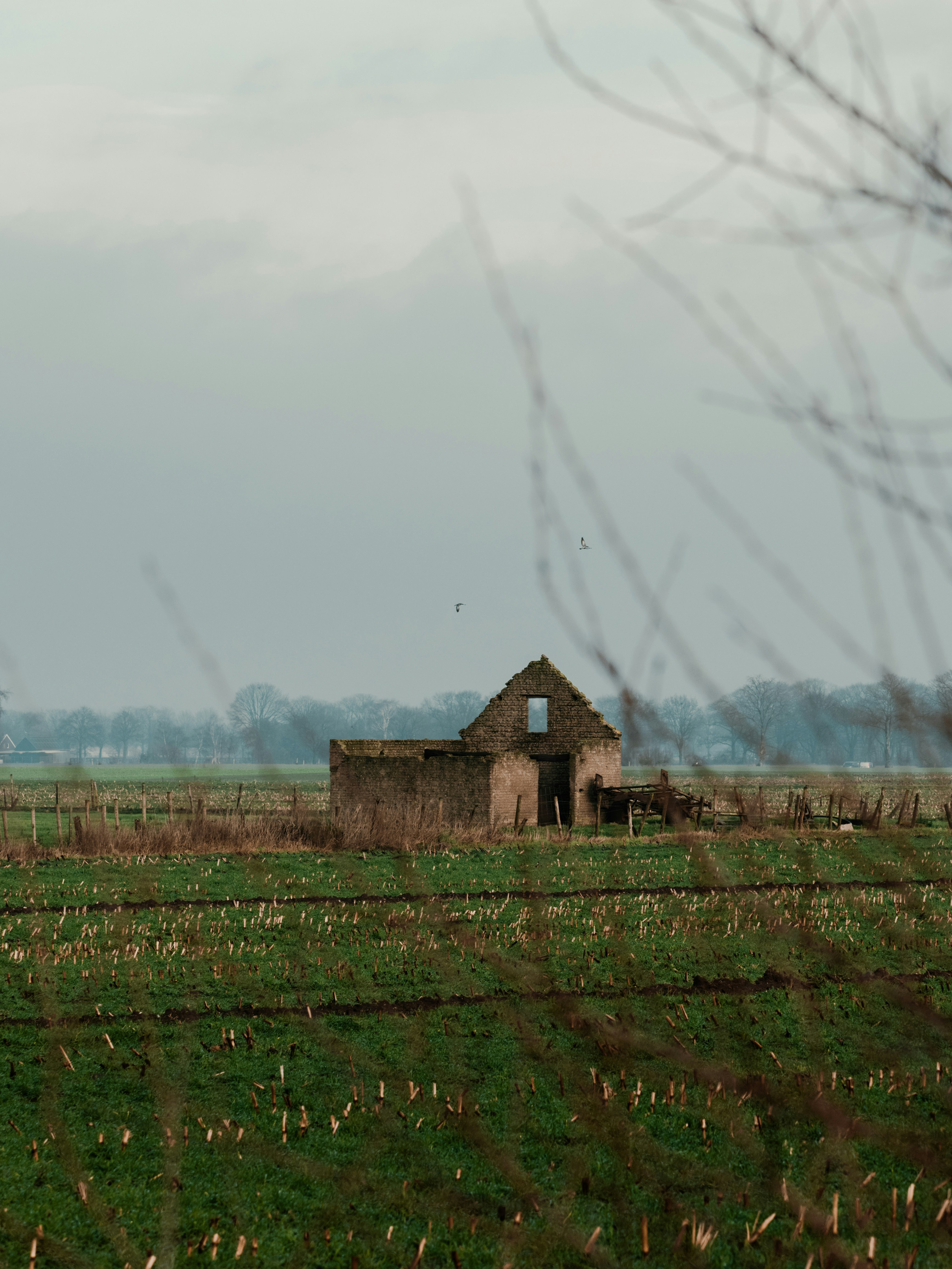 Photo by brechtdenil