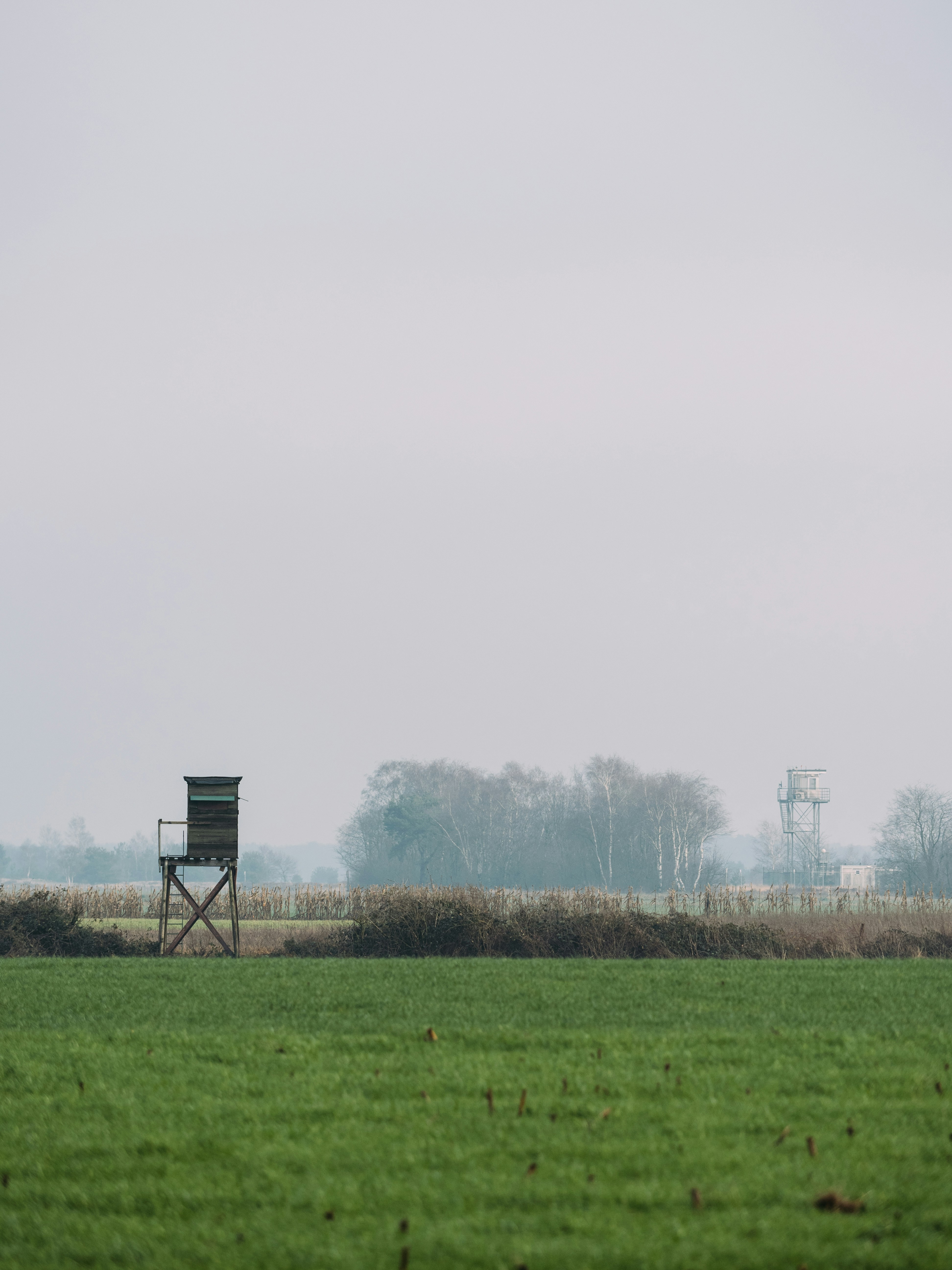 Photo by brechtdenil