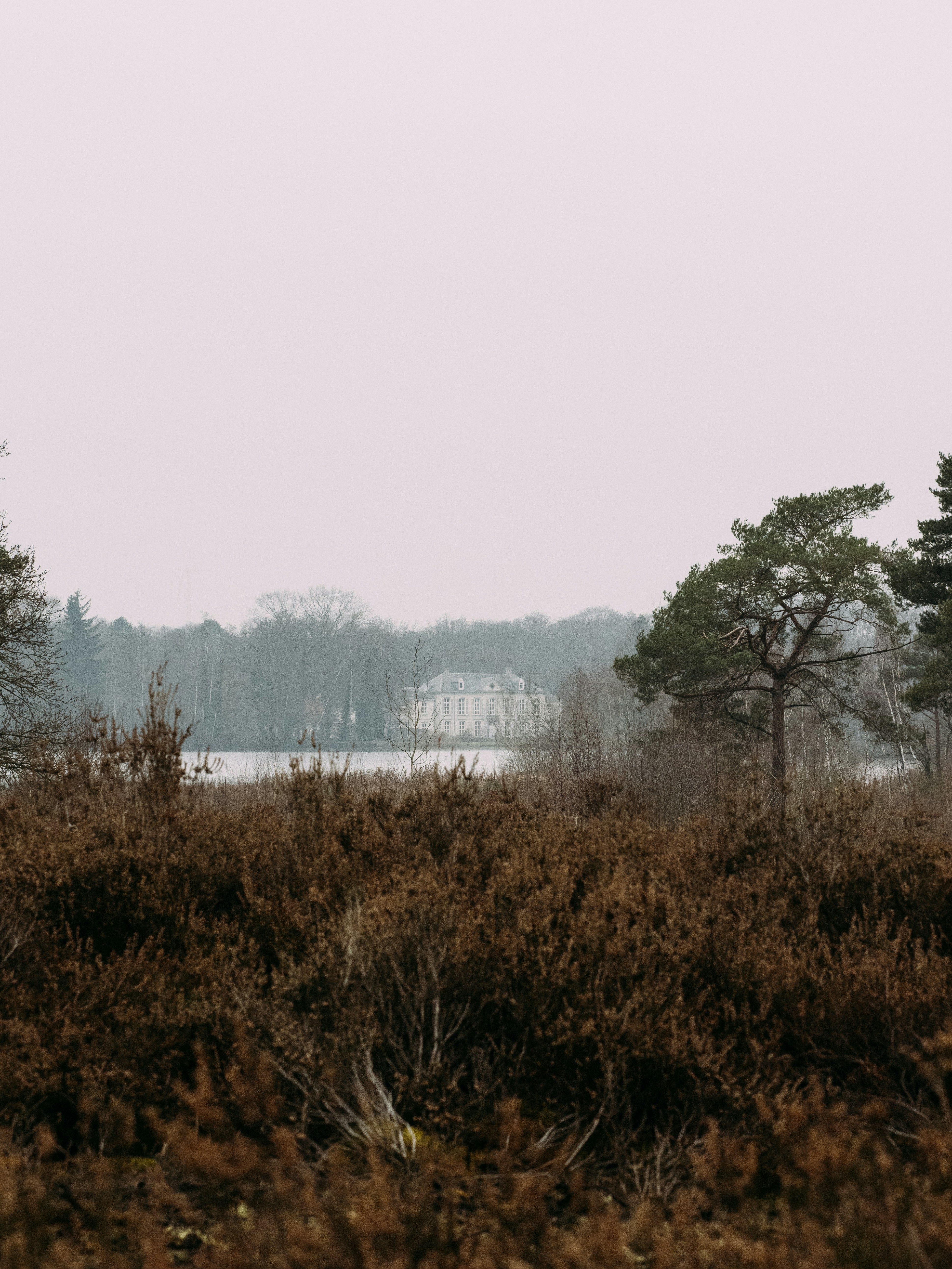 Photo by brechtdenil