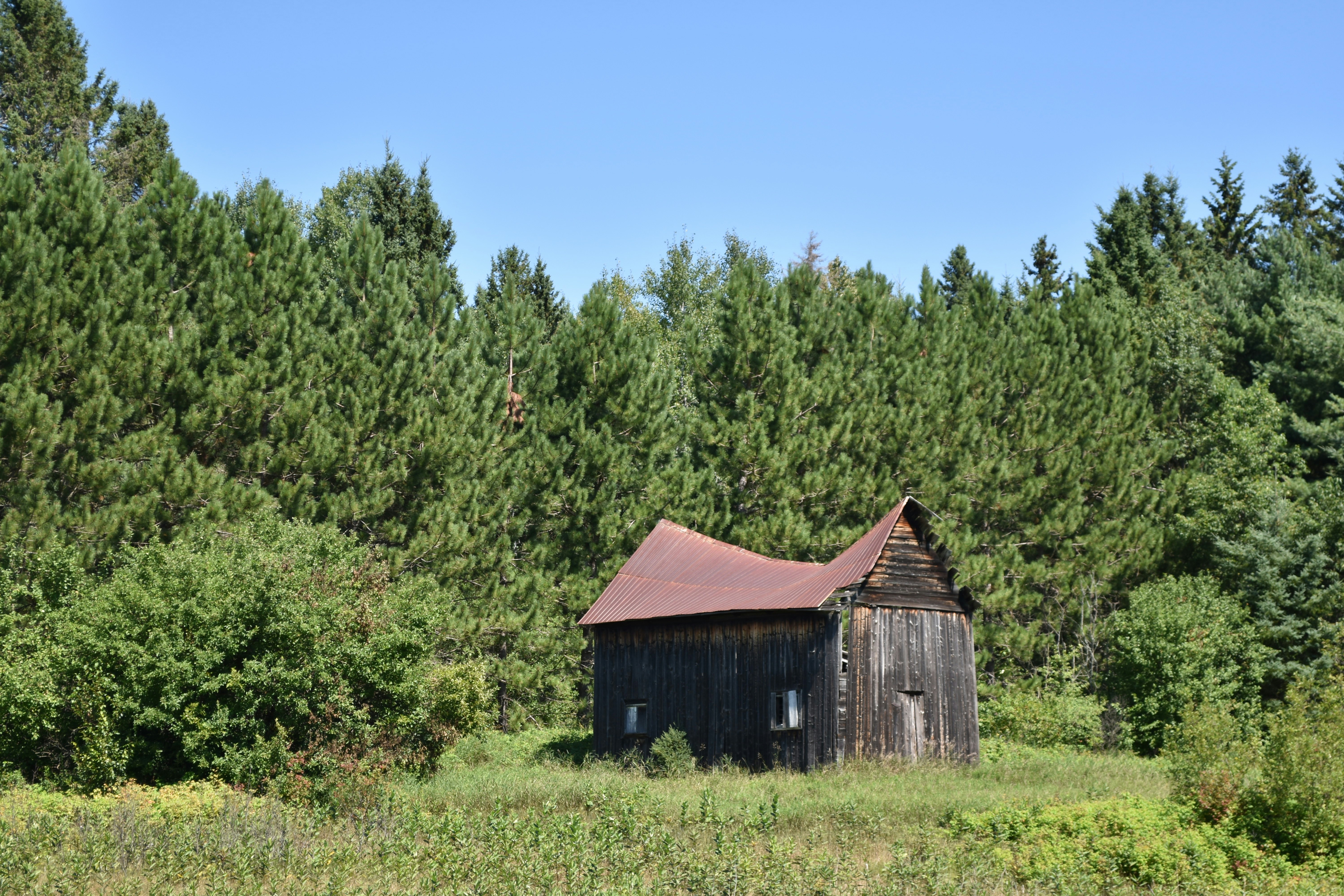 Photo by controversialcreative