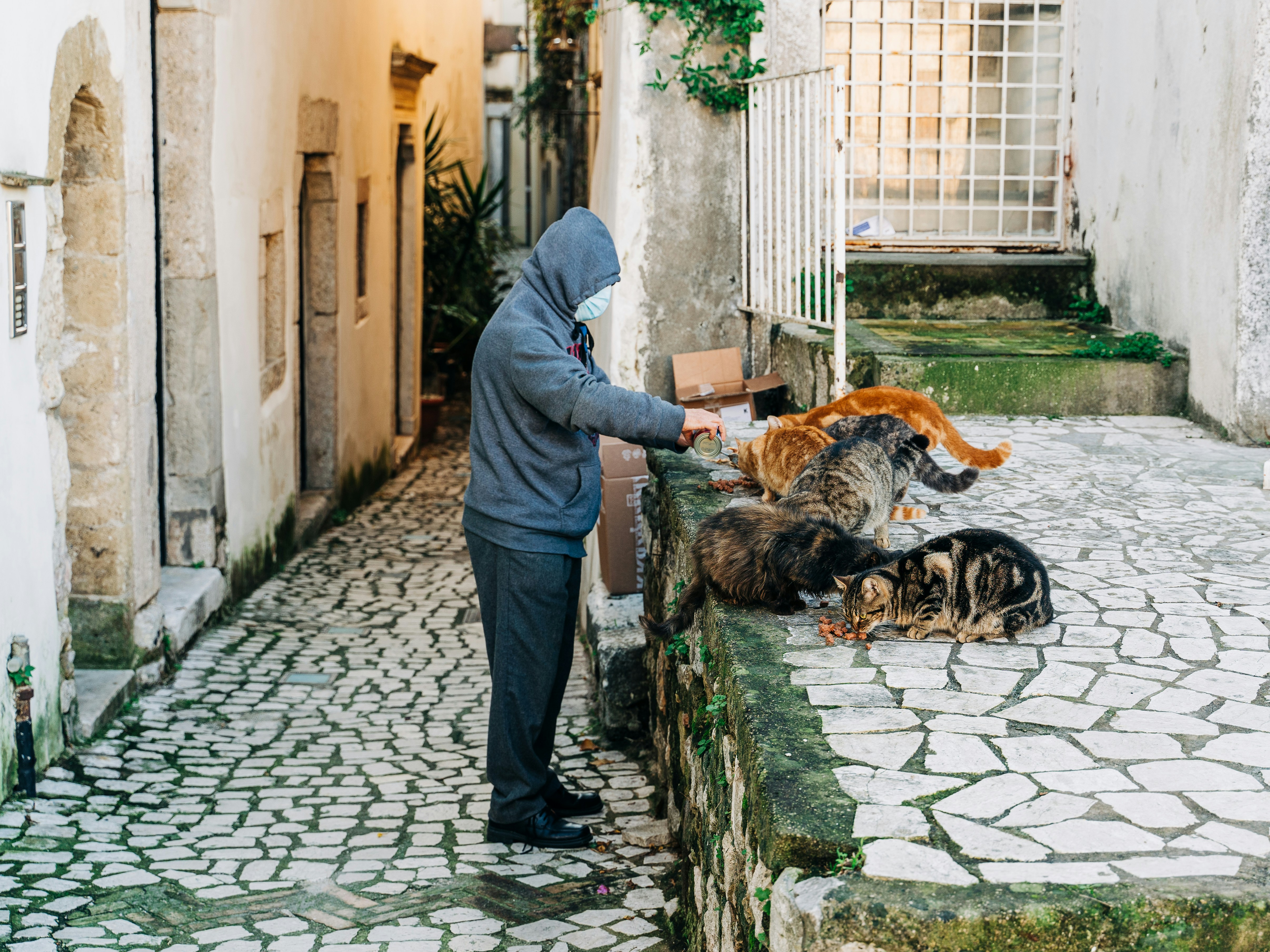 A man in a face mask feeding stray cats in the streets of Gaeta, Italy during the Covid-19 pandemic