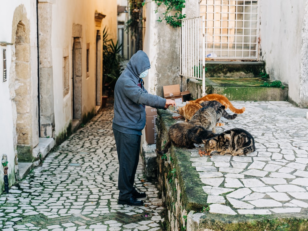 man in blue jacket and black pants walking on sidewalk with brown and white dog