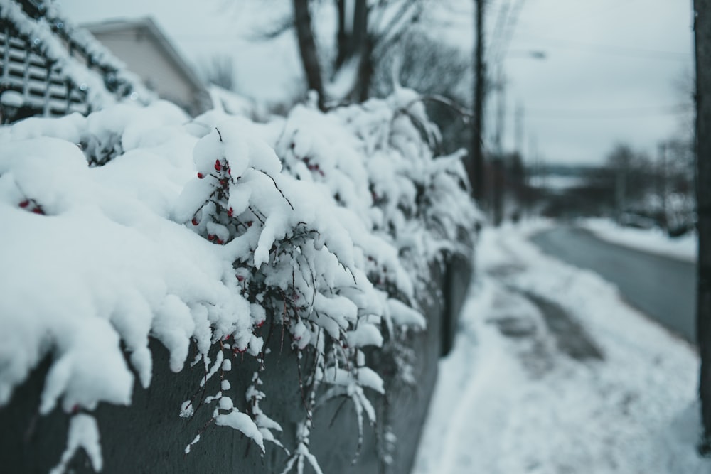 a fence covered in snow next to a street