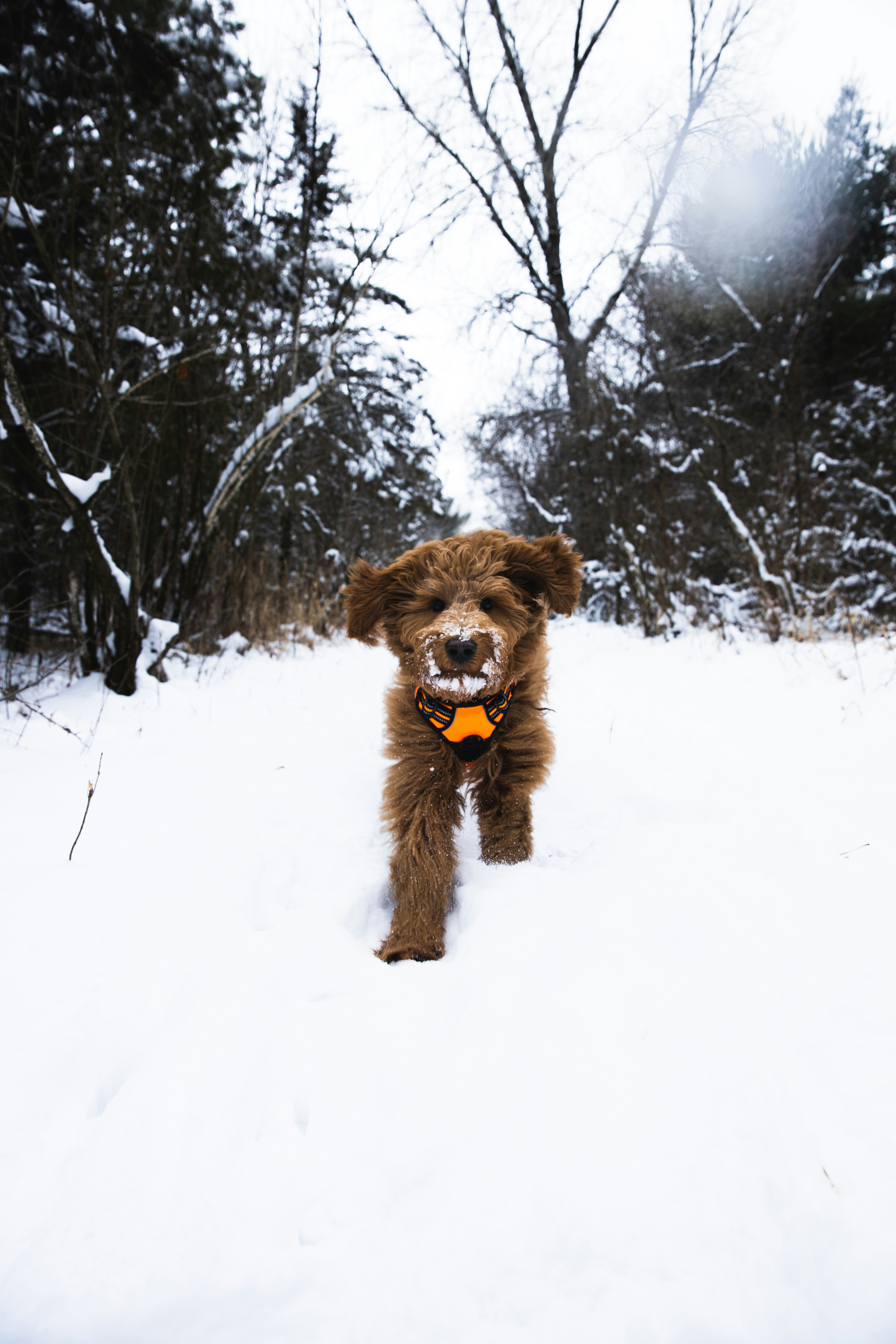 Photo by ethanwalsweer