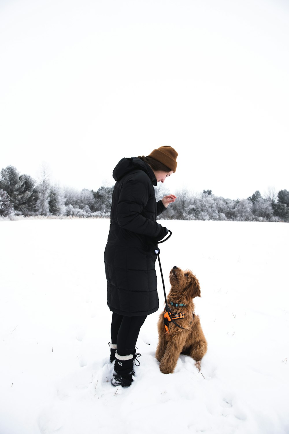 Mujer con chaqueta negra y pantalones marrones de pie en el suelo cubierto de nieve junto a un perro marrón durante