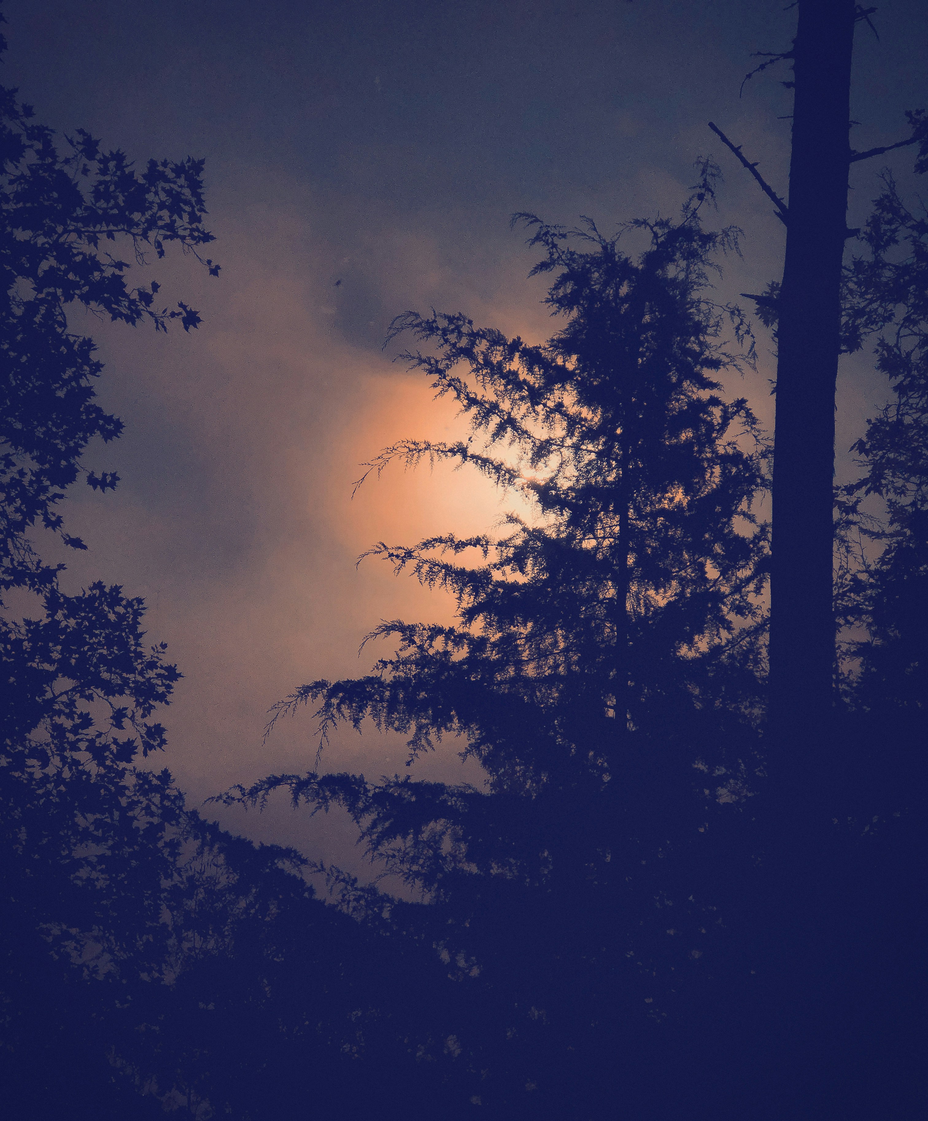 Photo by j_paulo_mag