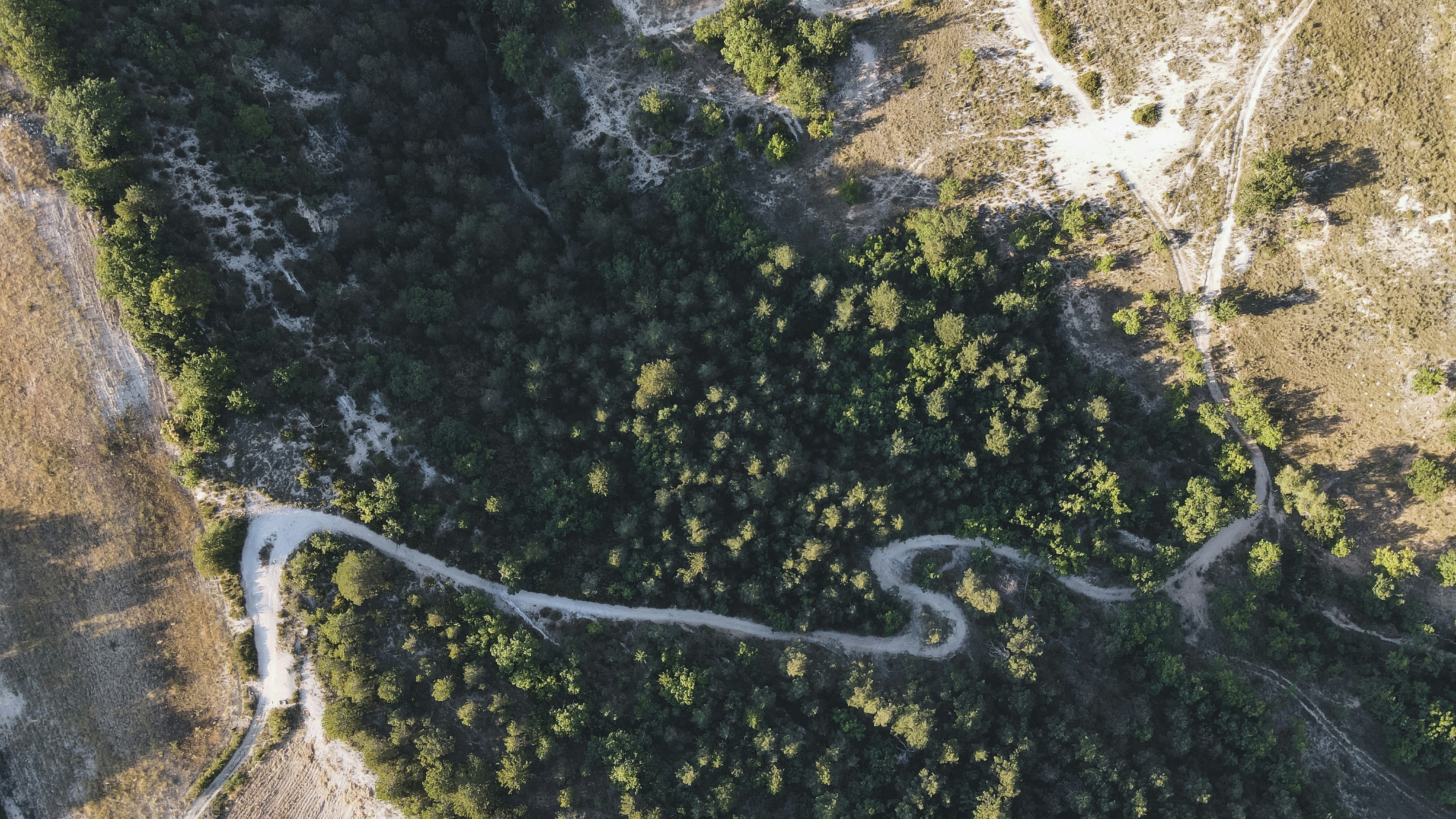 Photo by jonathanarbely