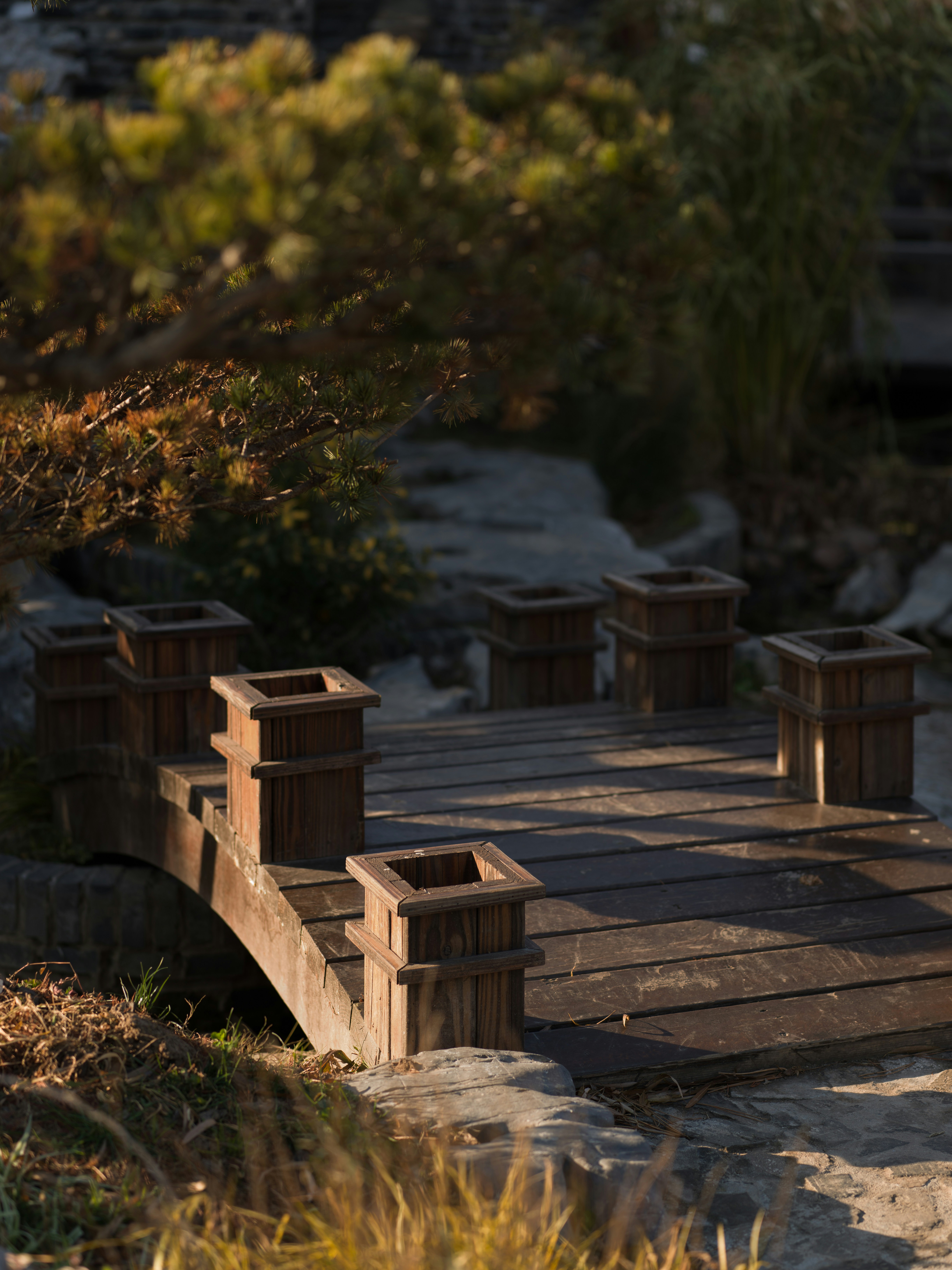 Photo by julianmokzth