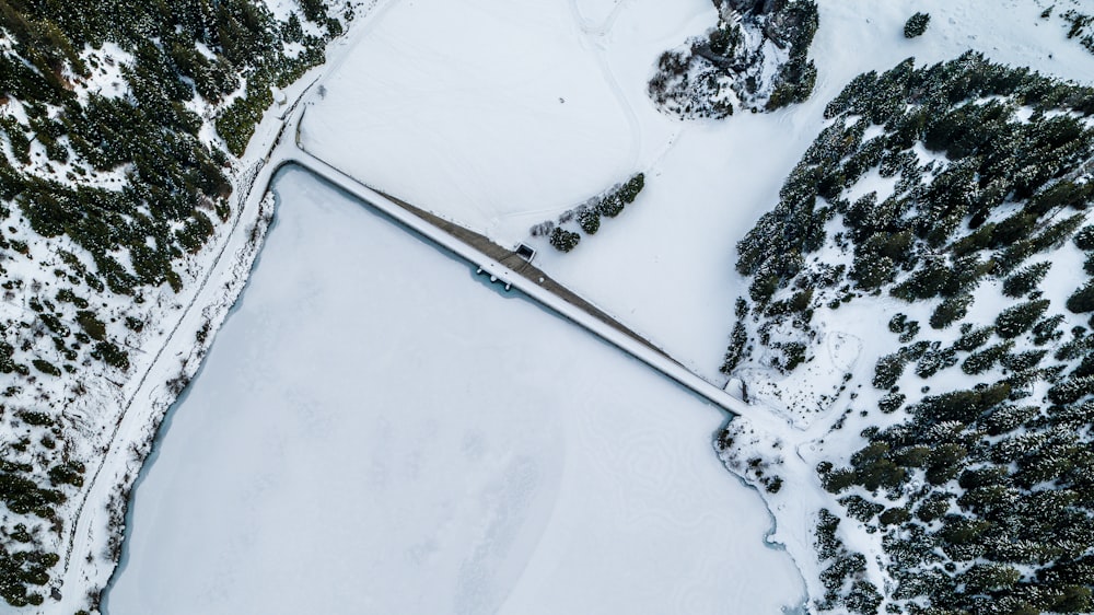 Schneebedeckter Boden mit Bäumen während des Tages