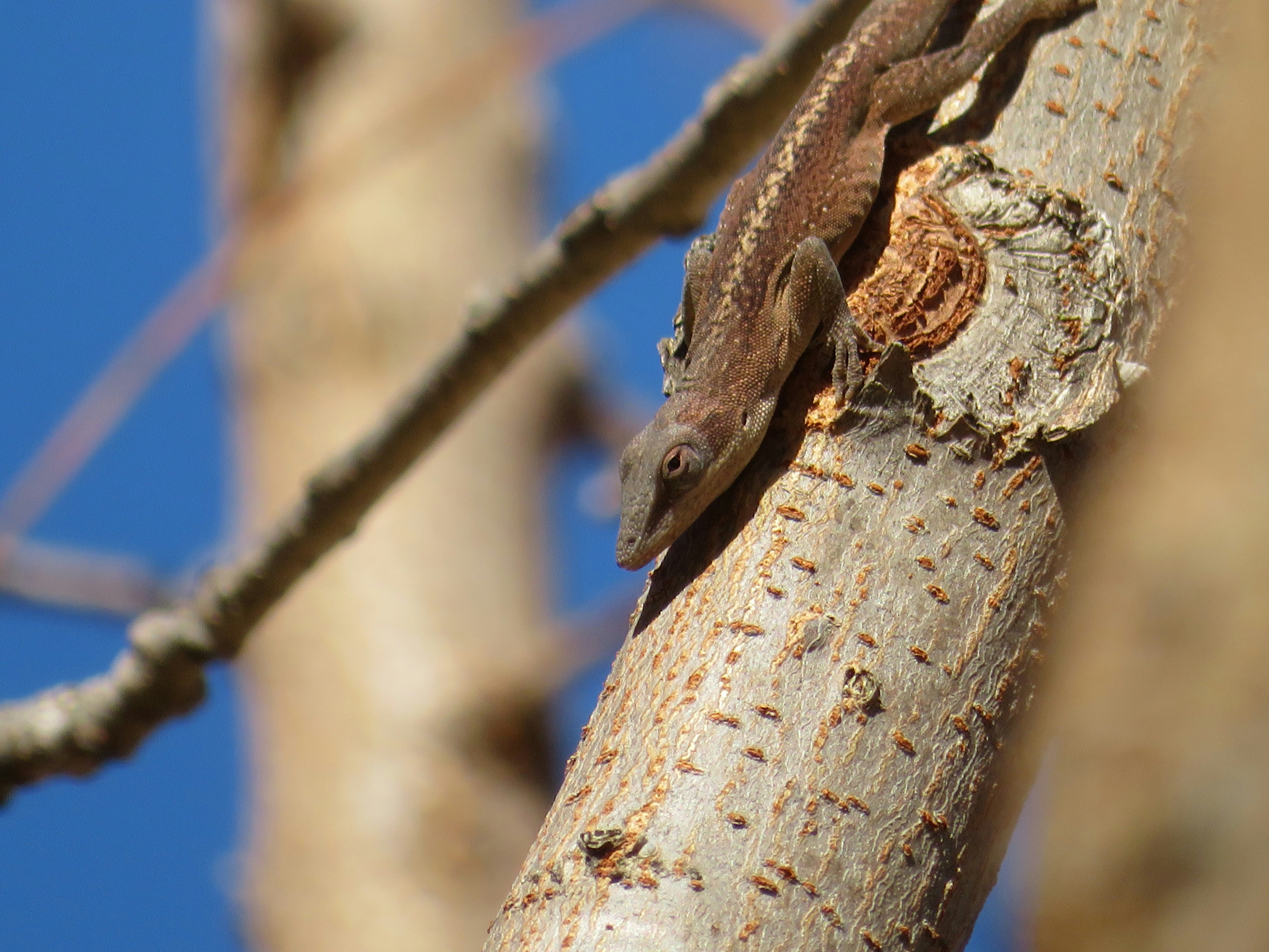 Photo by marcie_kennedy