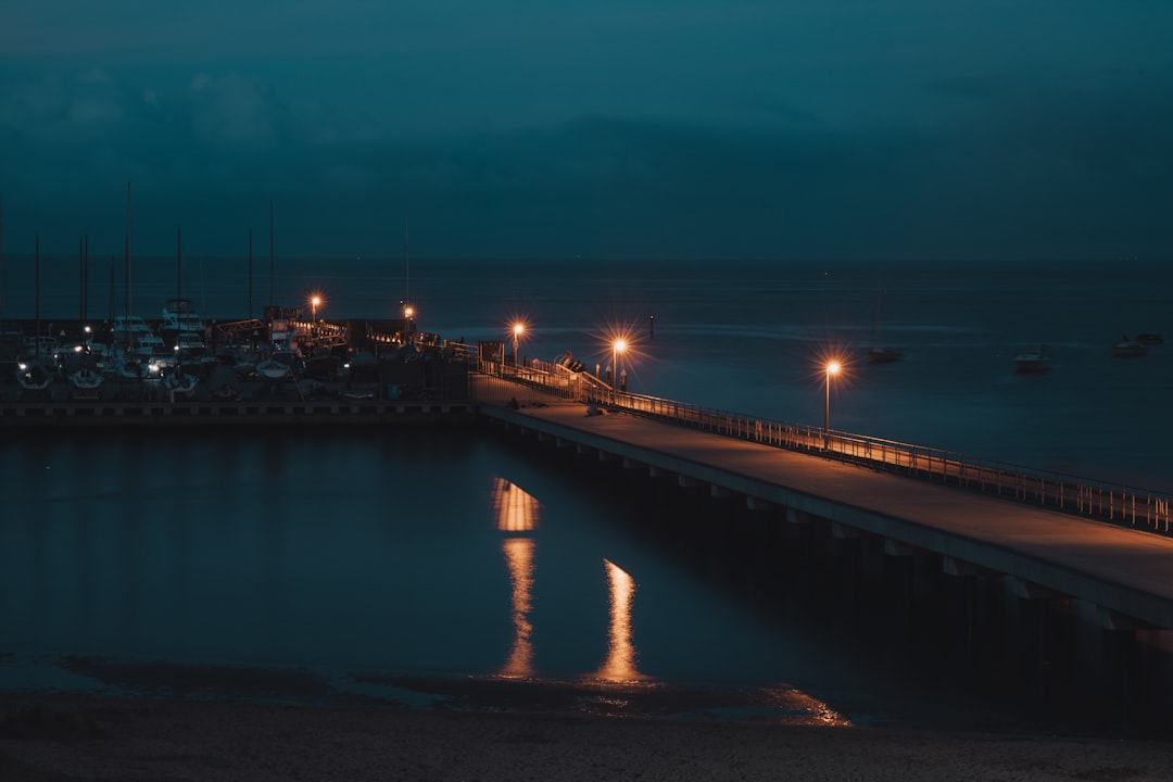 brown wooden dock on sea during night time