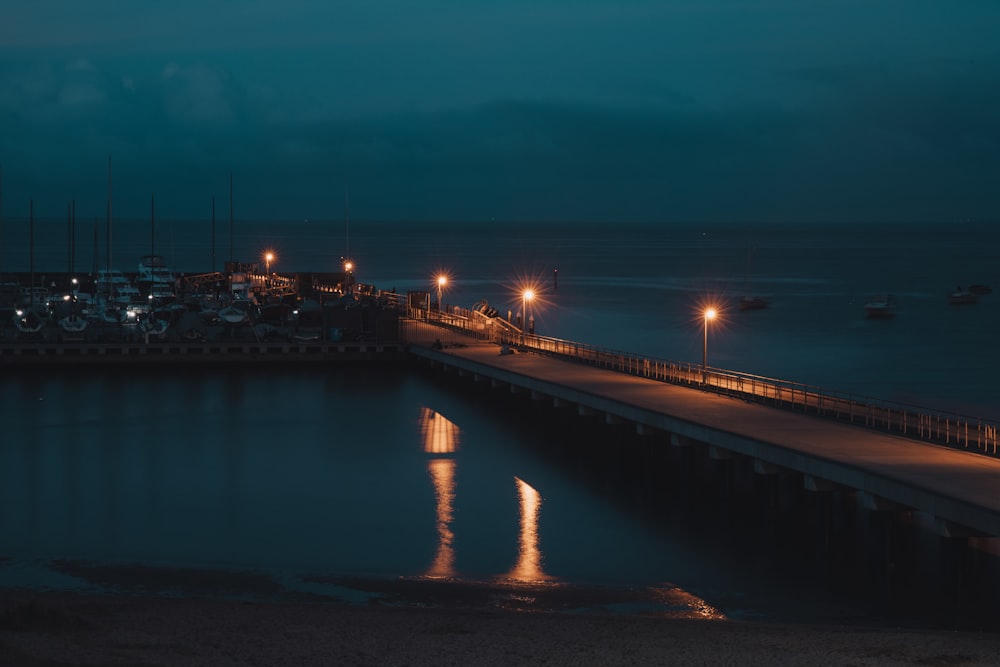 brown wooden dock on sea during night time