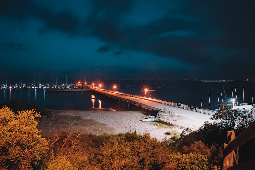 lighted bridge over body of water during night time