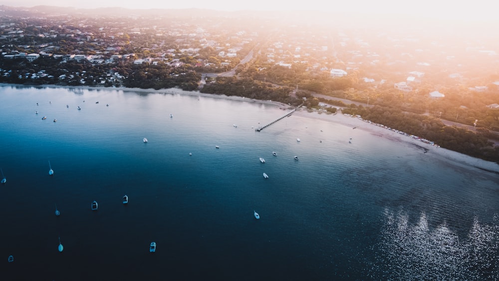 aerial view of body of water during daytime