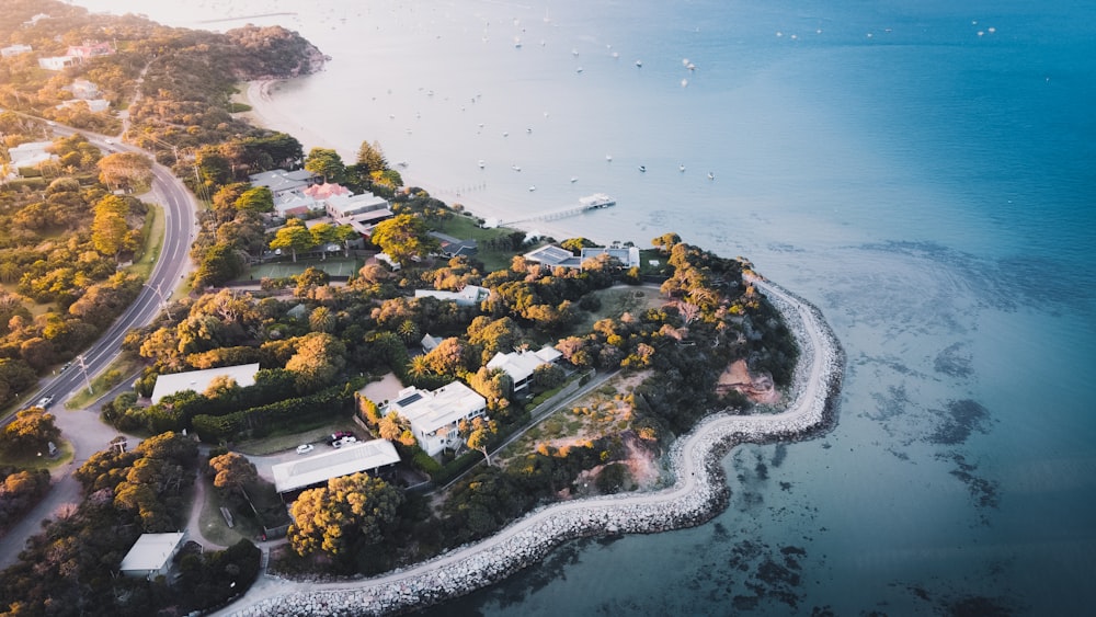 aerial view of green trees and body of water during daytime