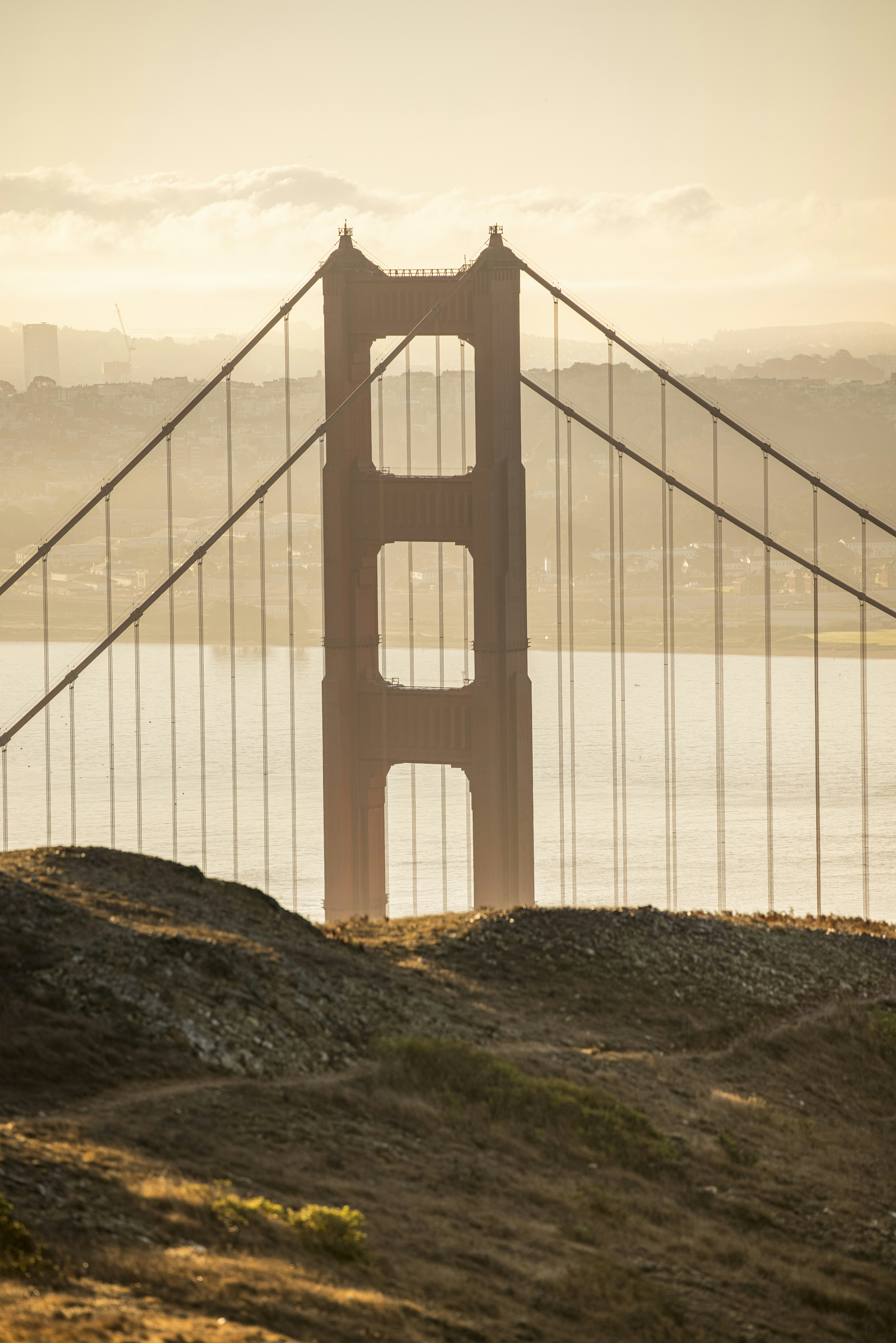 Photo by leo_visions_