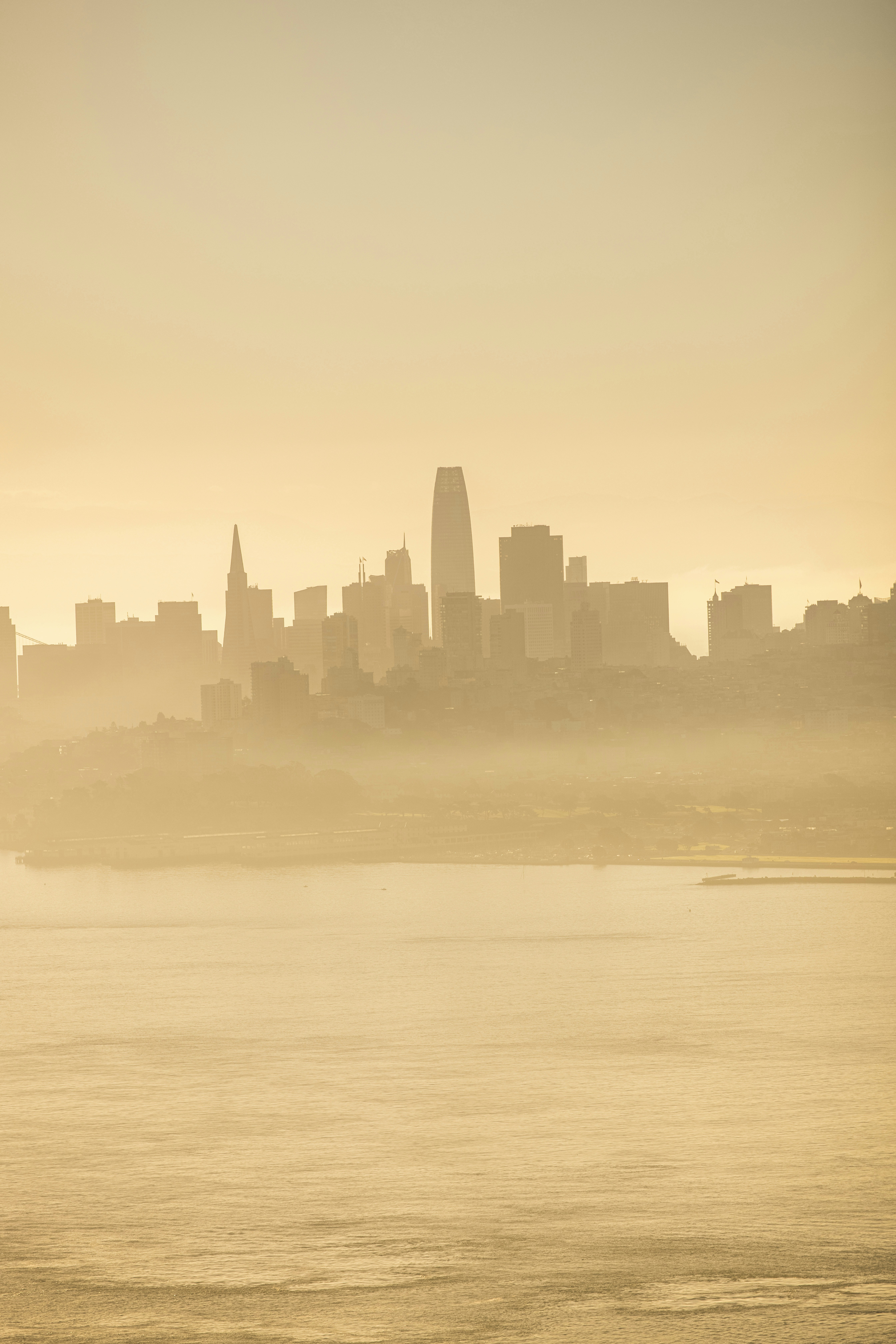 Photo by leo_visions_