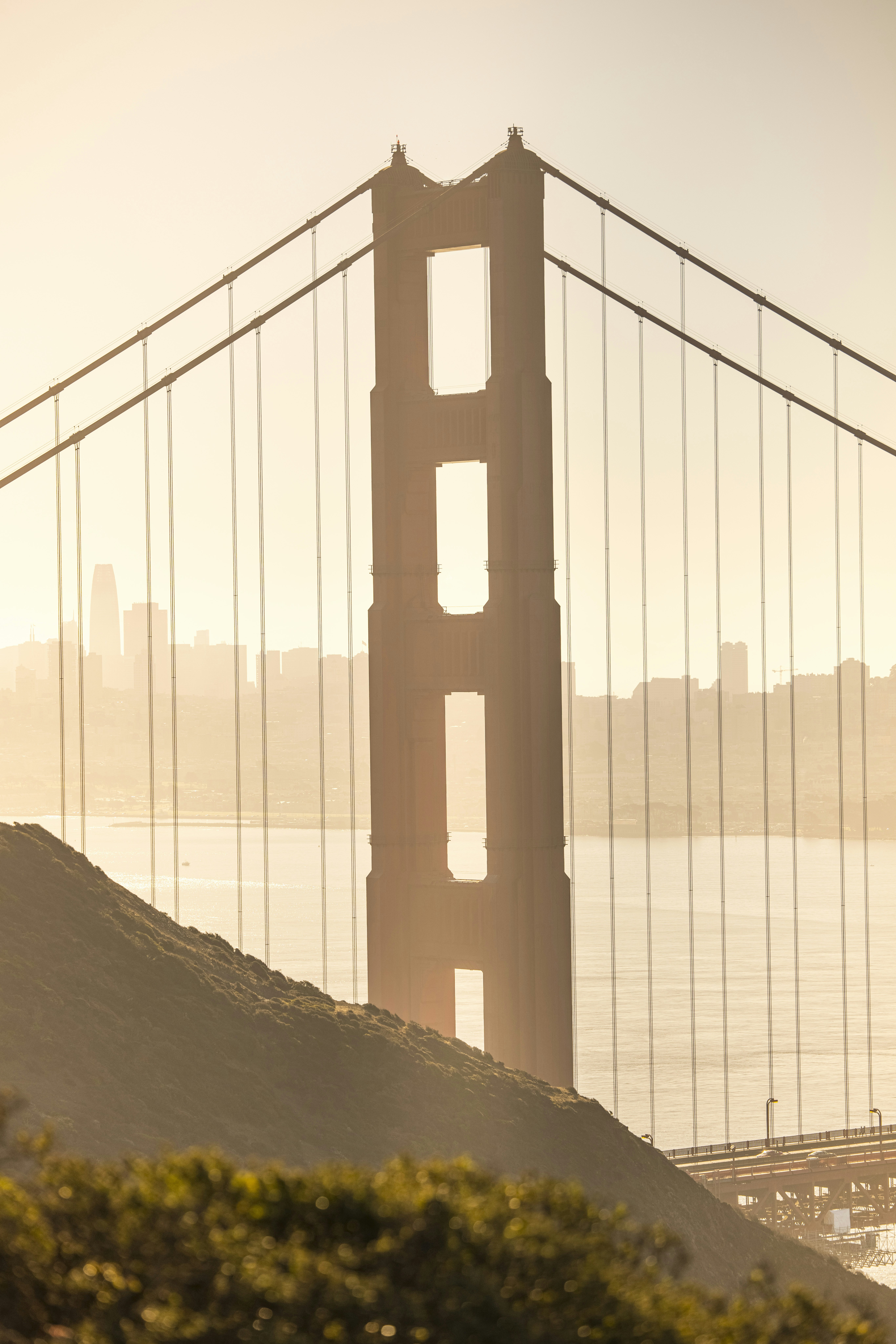 Photo by leo_visions_