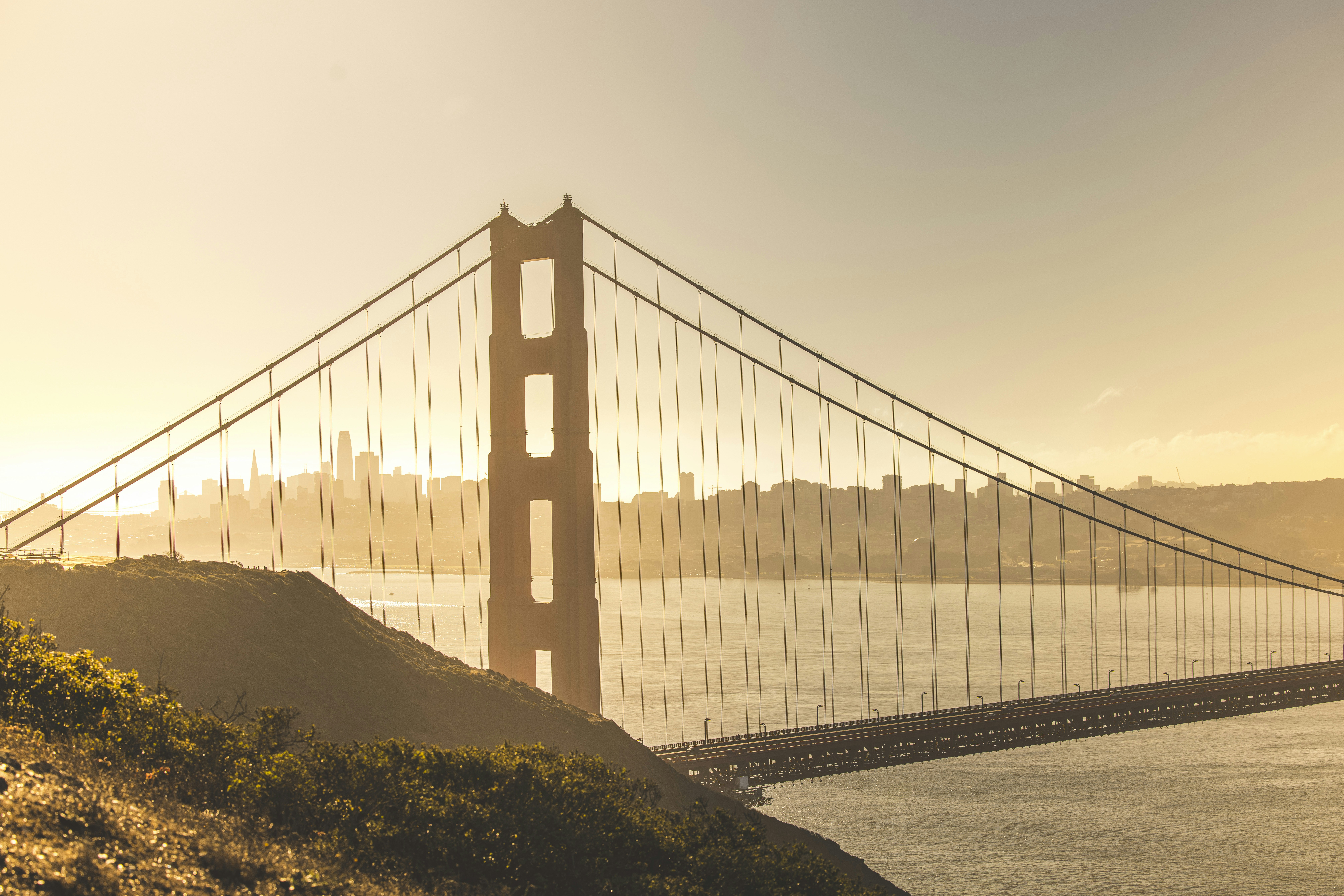 Photo by leo_visions_