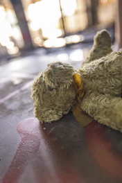 Close-up of a well-loved teddy bear with a worn ribbon around its neck.