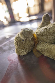 Close-up of a well-loved teddy bear with a worn ribbon around its neck.