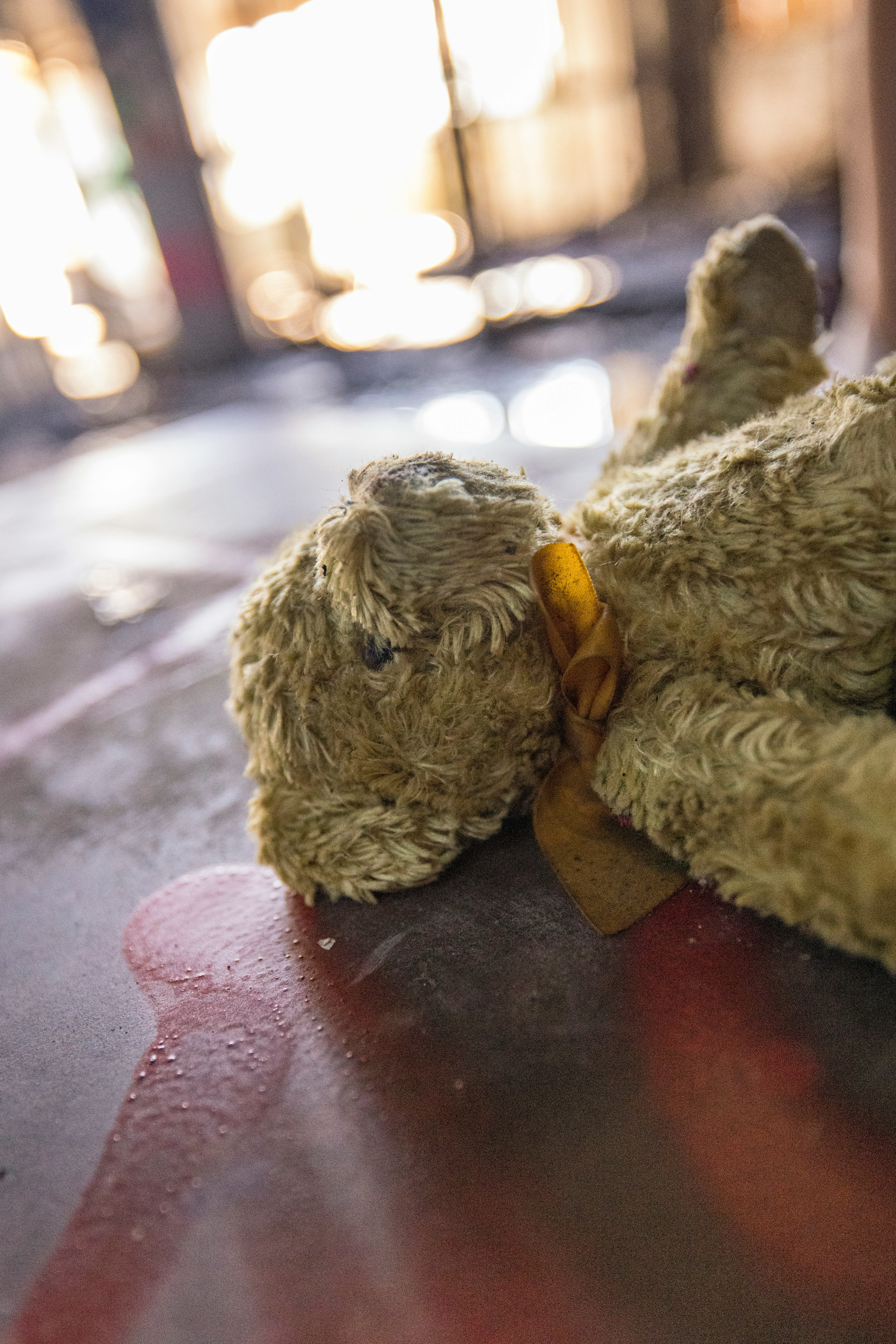 brown teddy bear on red textile