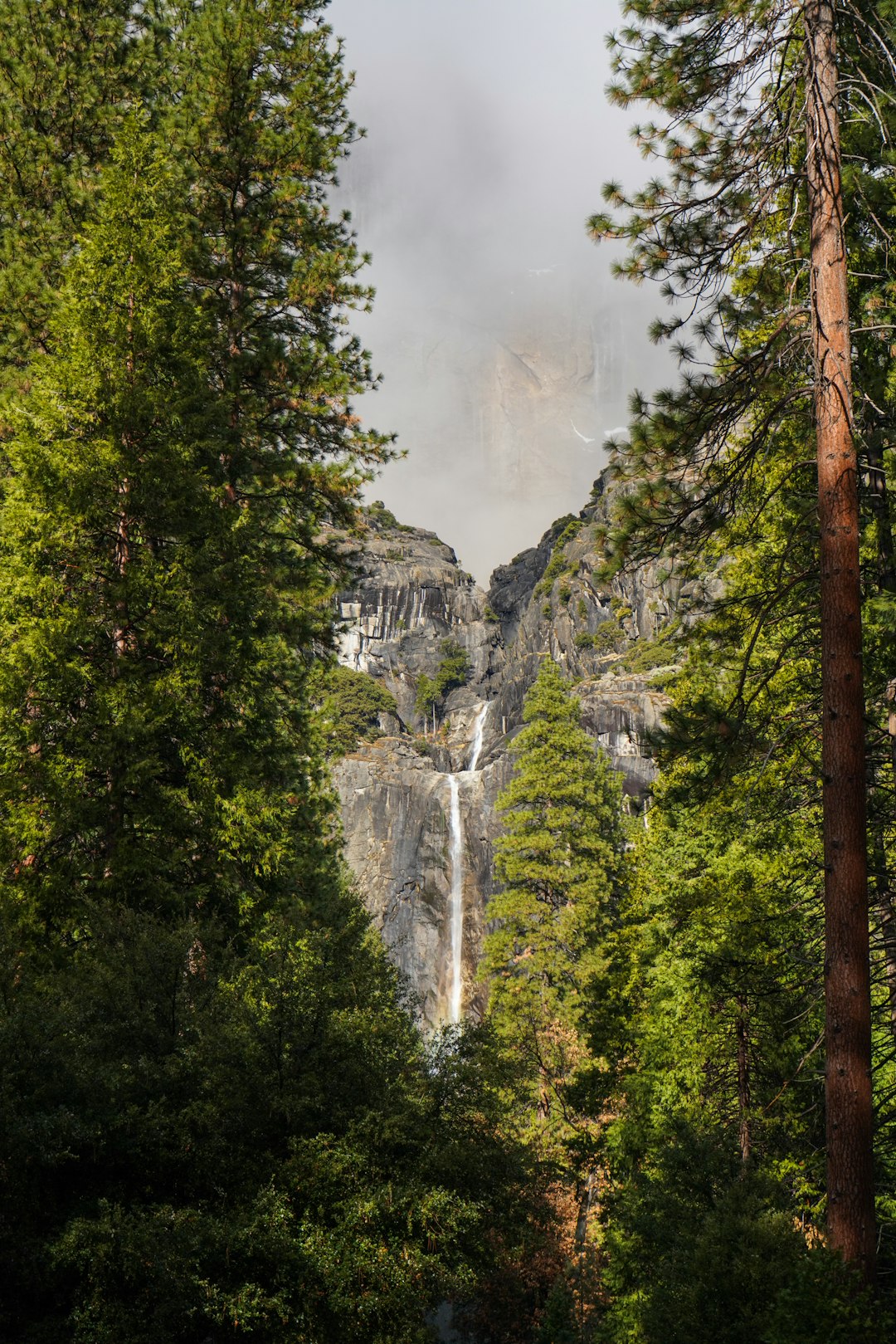 waterfalls in the middle of forest