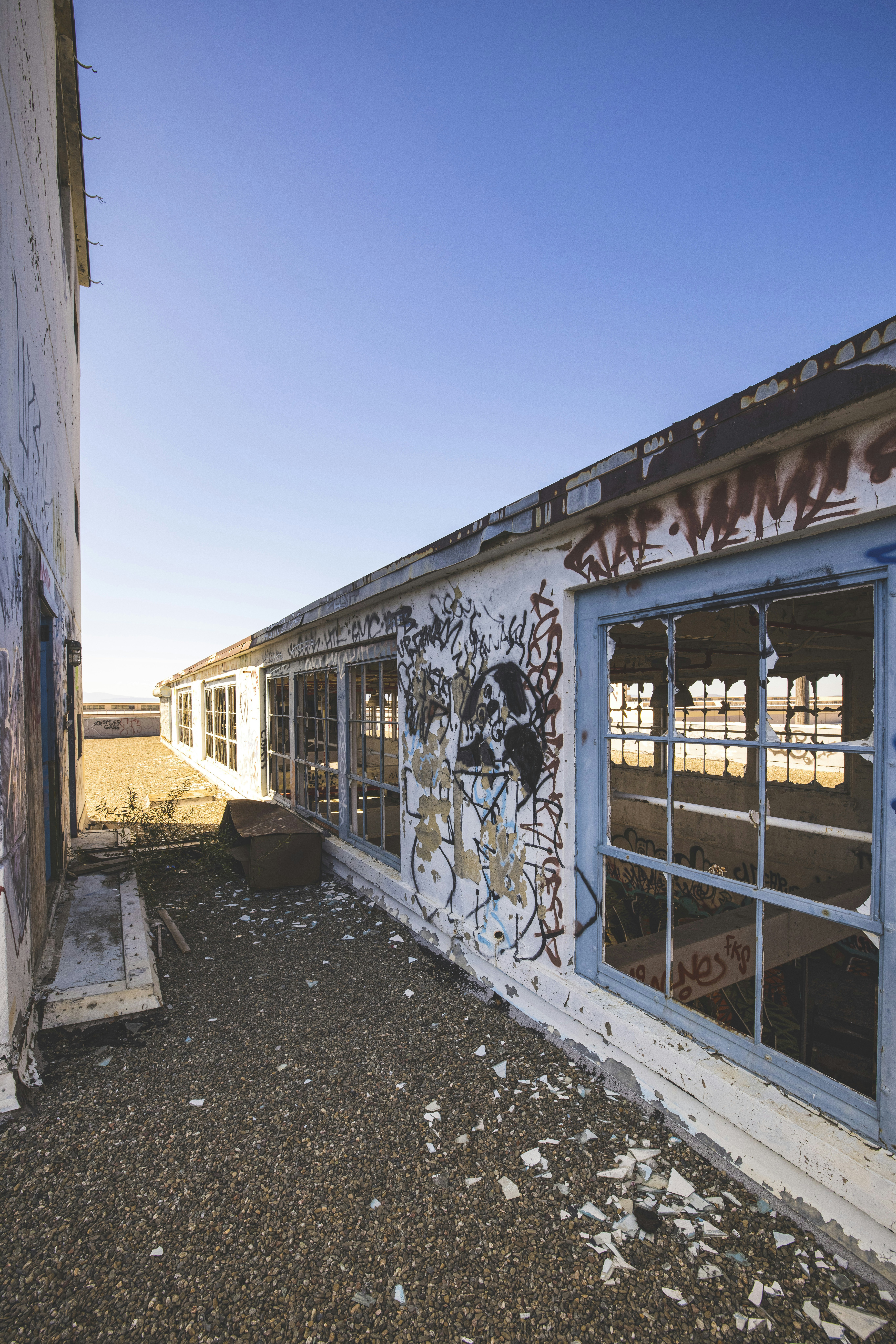 Photo by leo_visions_