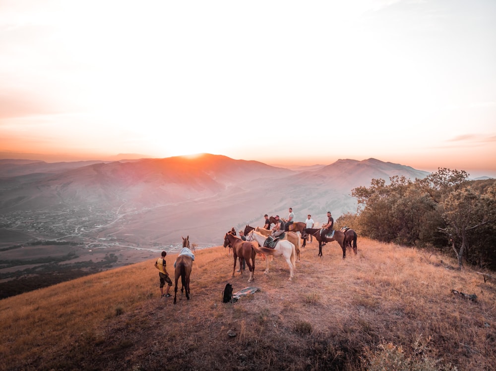 personas montando a caballo en un campo de hierba marrón durante el día