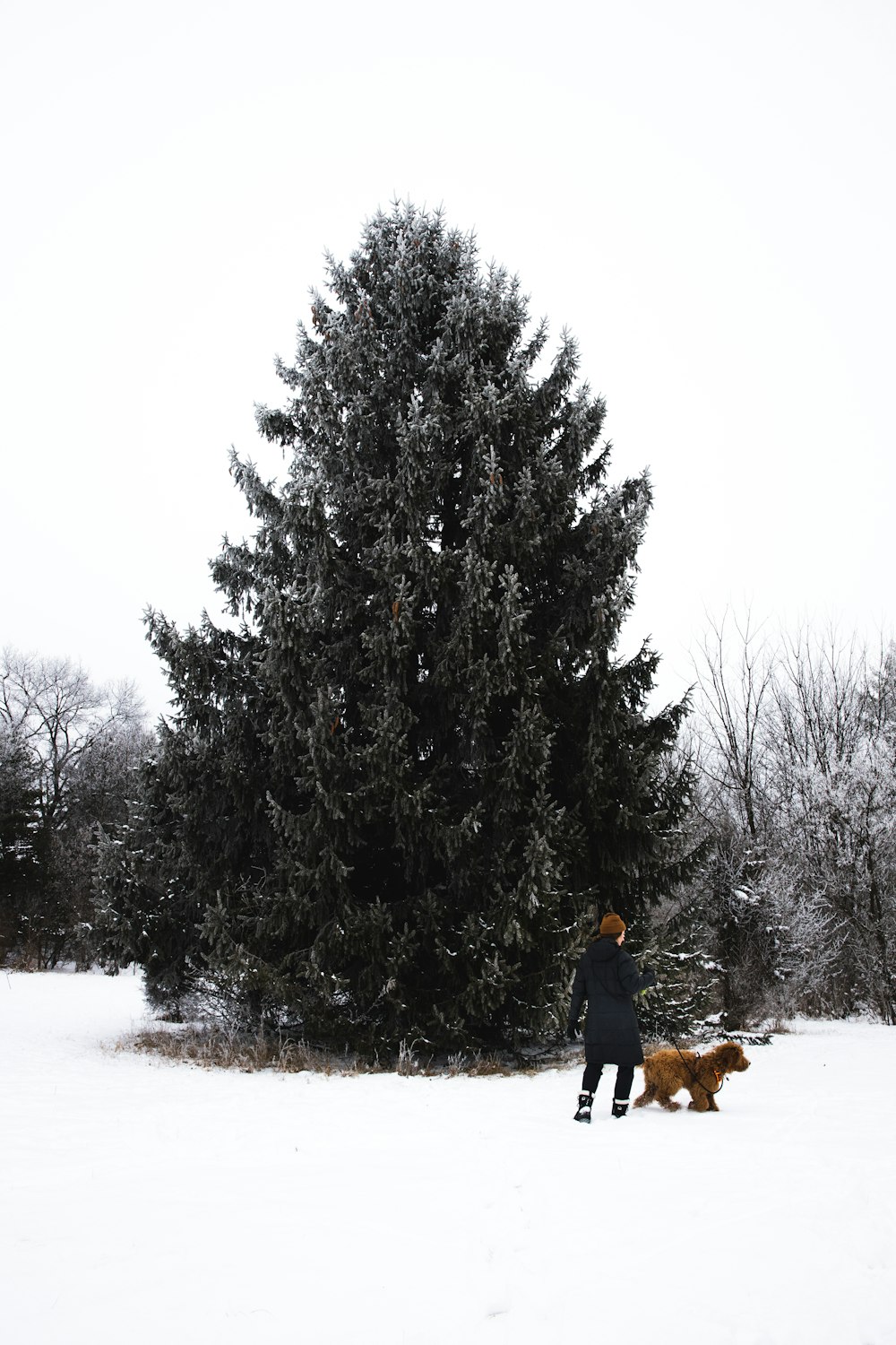 man in black jacket and blue denim jeans standing on snow covered ground near brown dog