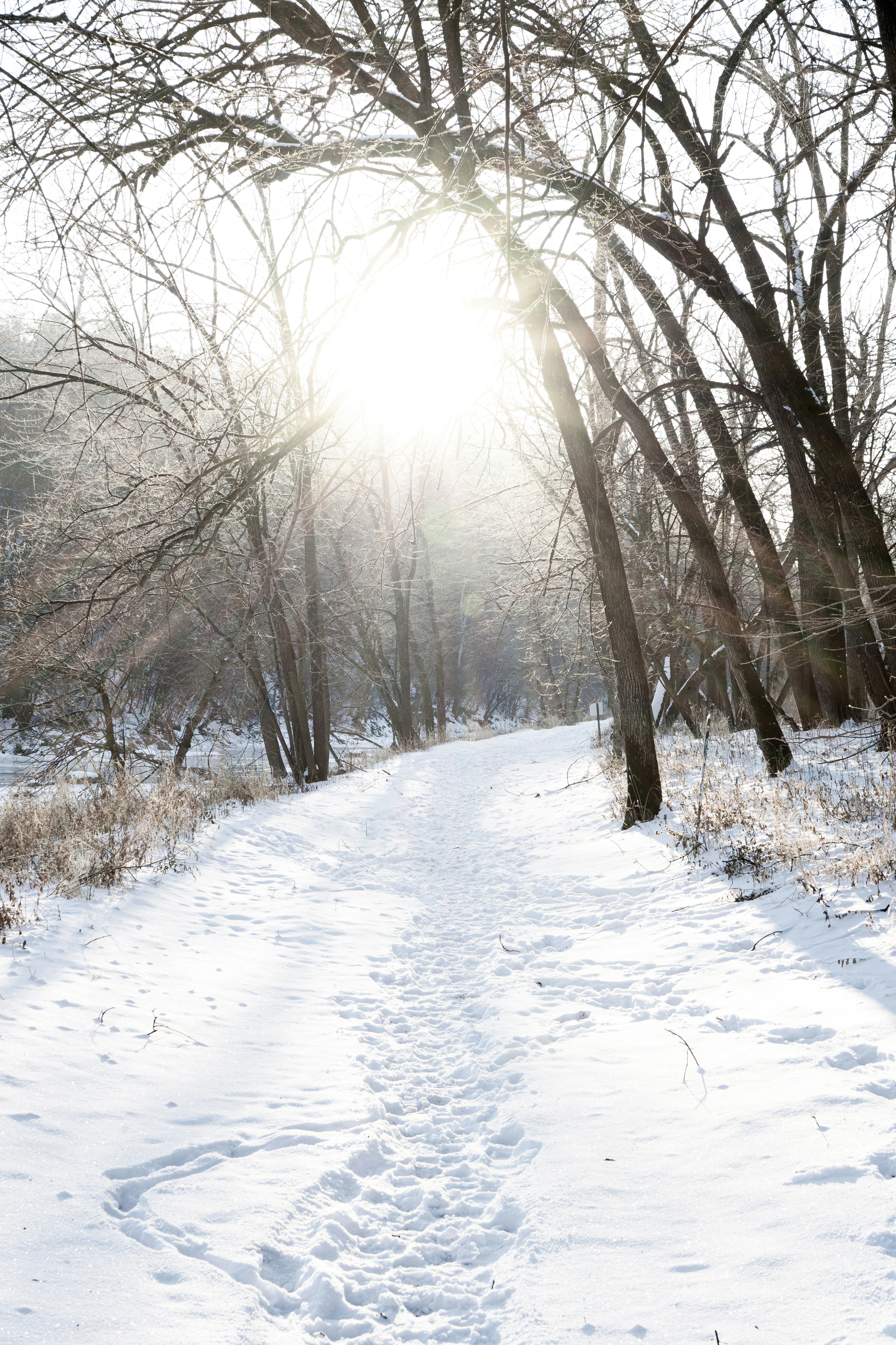 Photo by sidney_pitzl