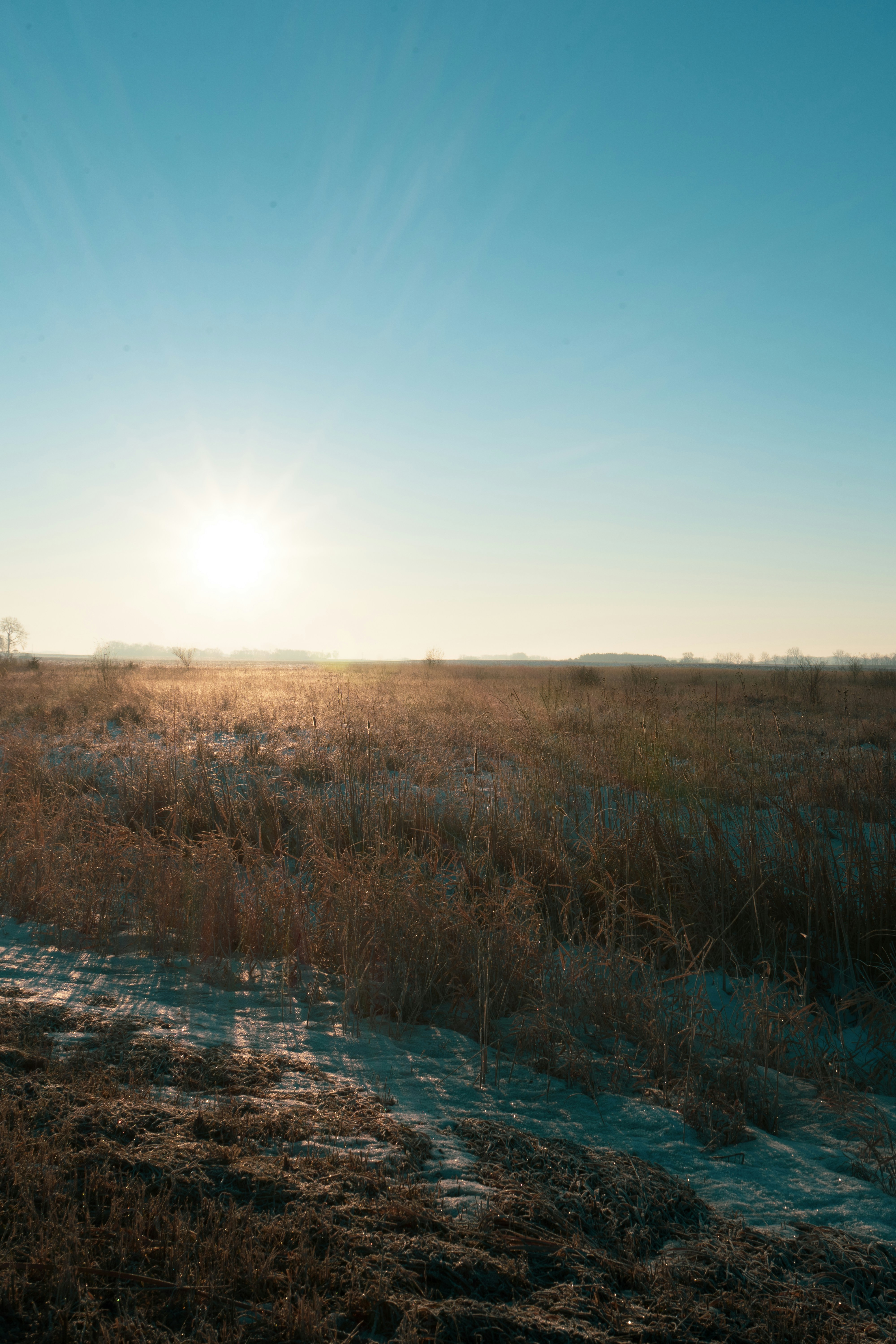 Photo by sidney_pitzl