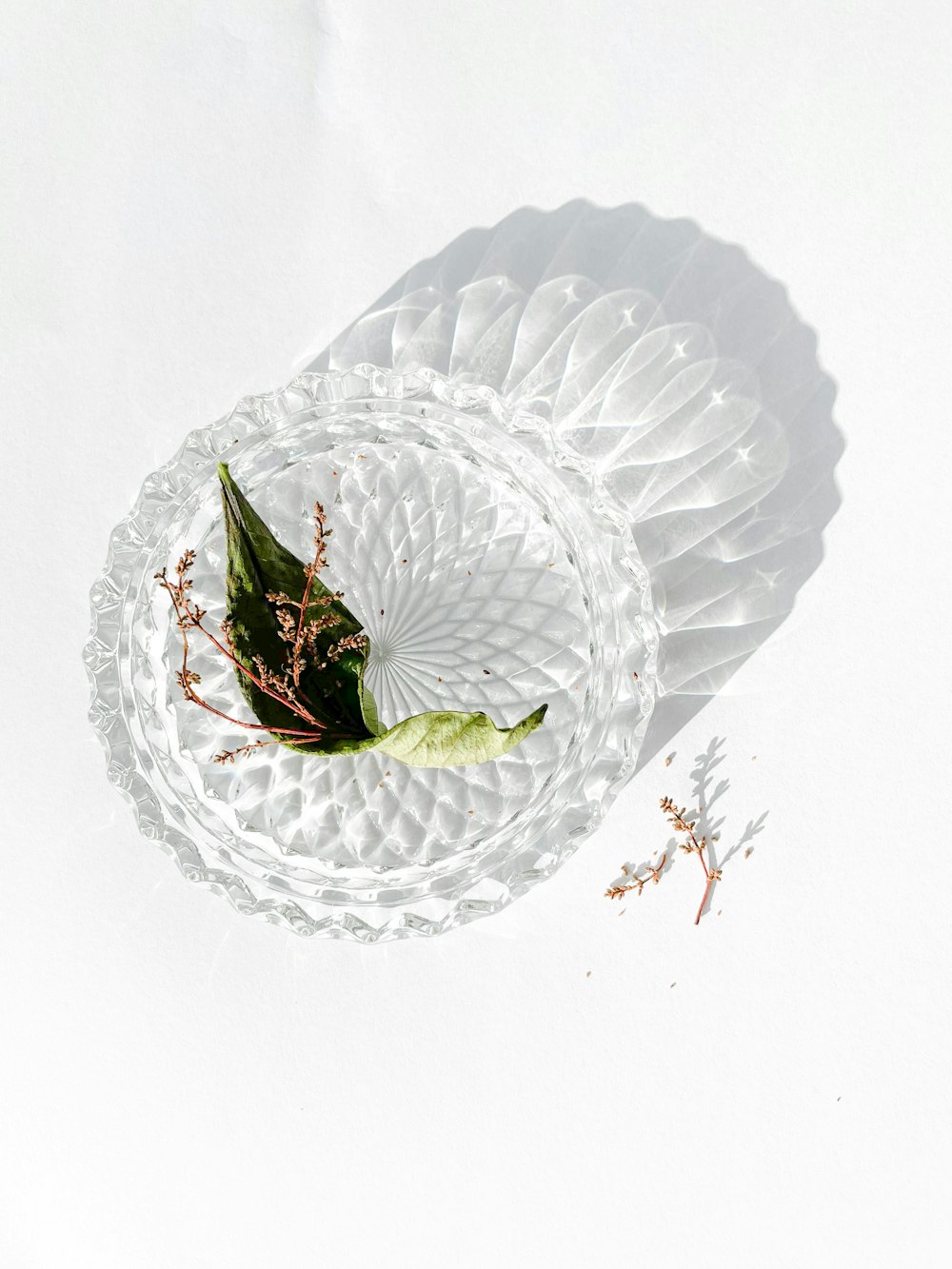 green leaf on white round plate