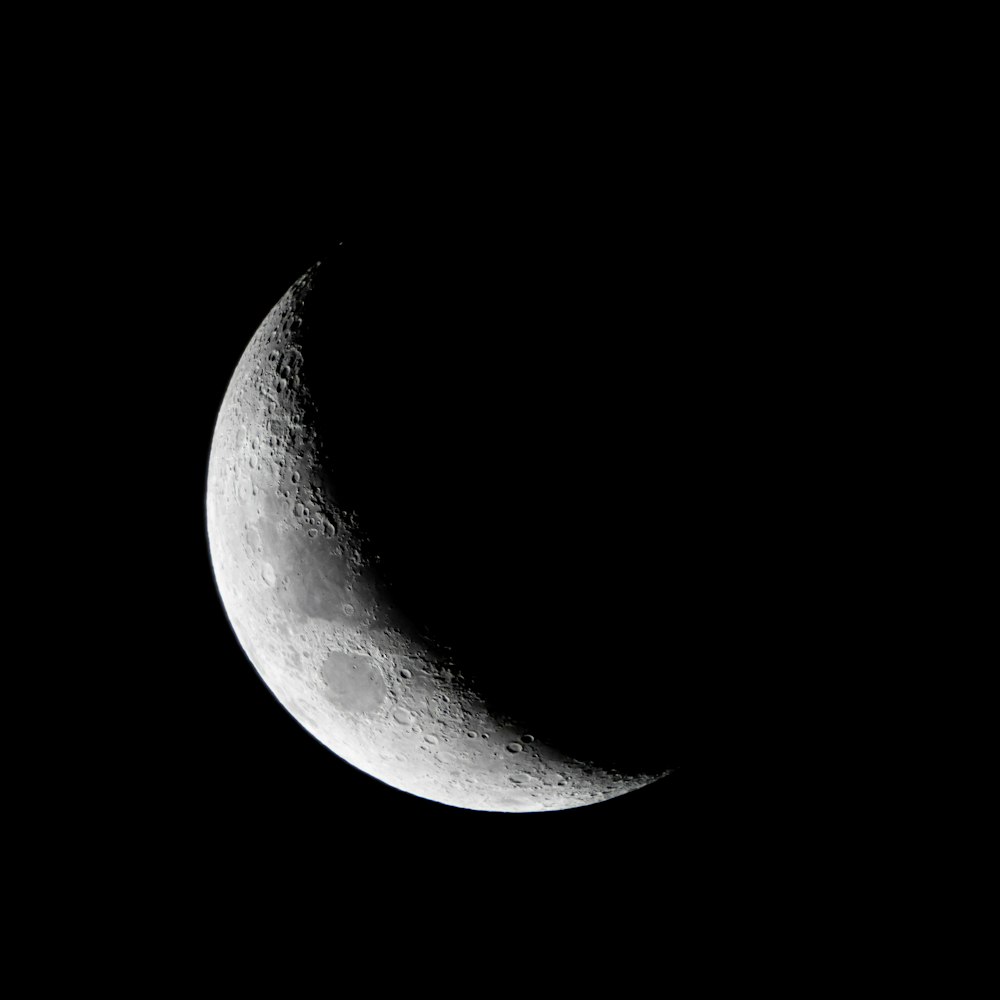 500+ Crescent Moon Pictures [HQ]  Download Free Images on Unsplash