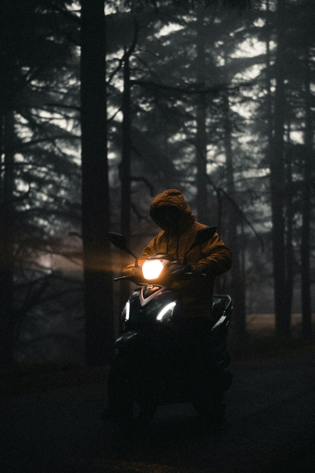 person in black jacket and black pants riding motorcycle in forest during night time