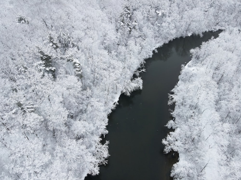 aerial view of snow covered trees