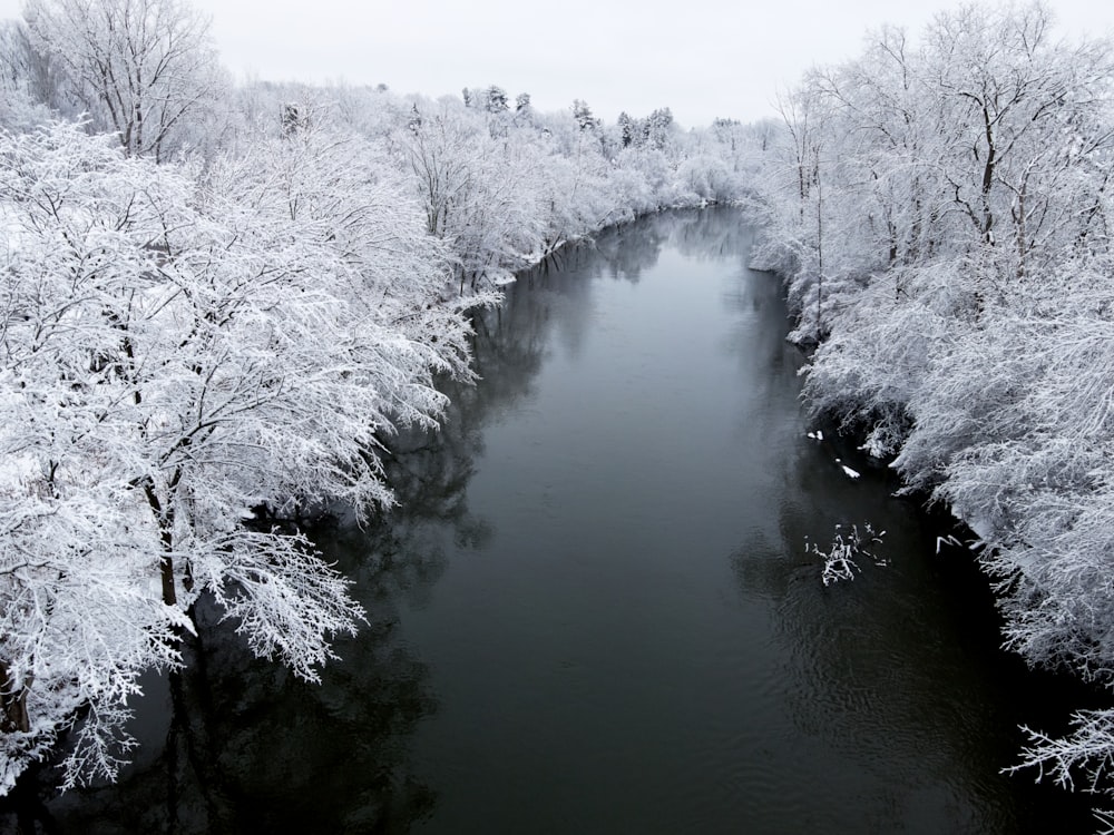 white trees covered by snow near river during daytime