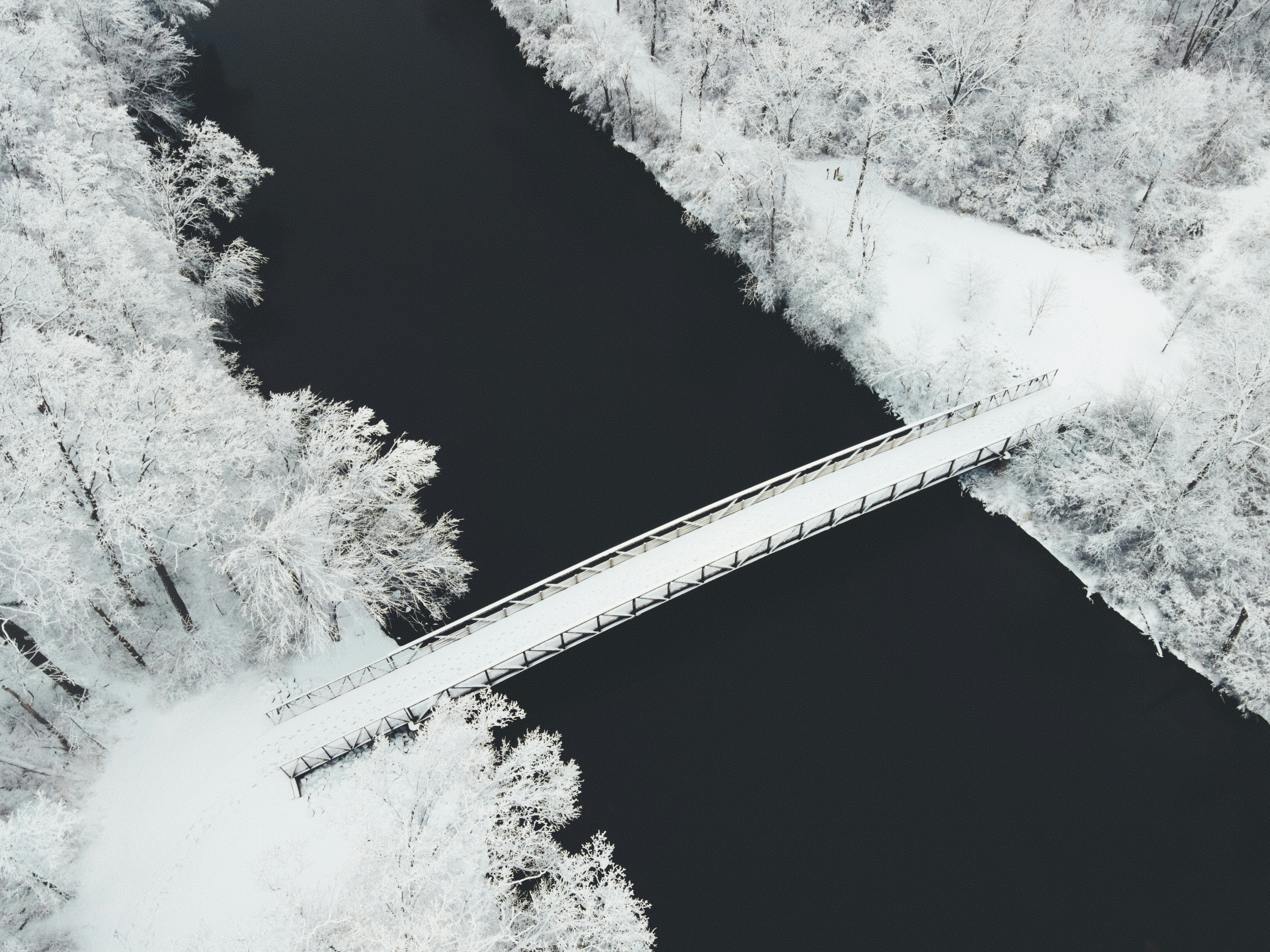 Vue aérienne de la route entre les arbres