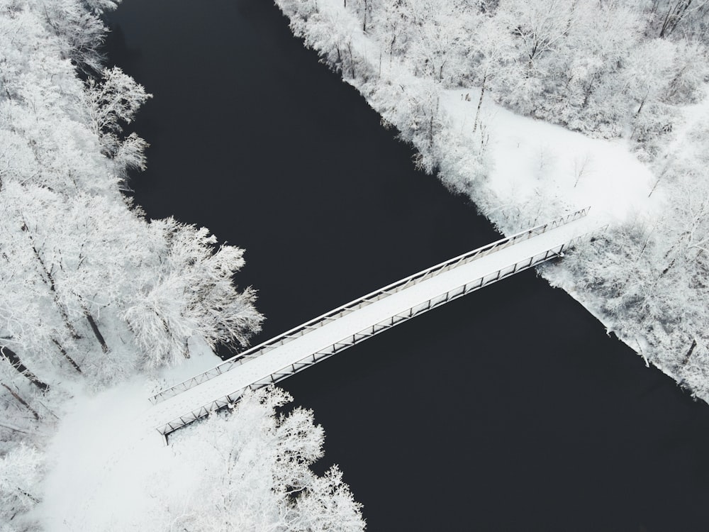 aerial view of road between trees