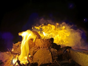 Close-up of a firevu camera capturing flames in an industrial setting.