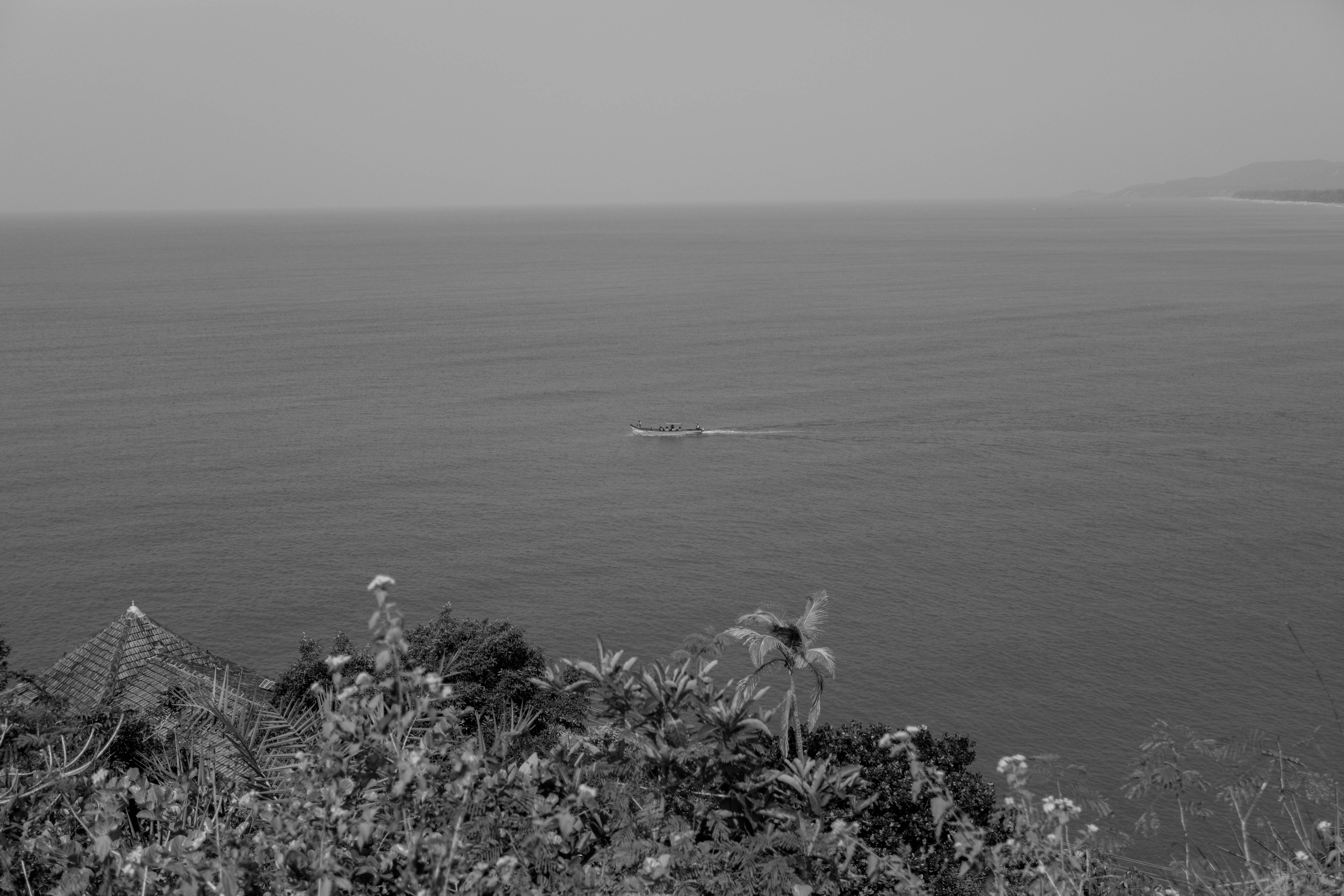 Photo by daniel_dara